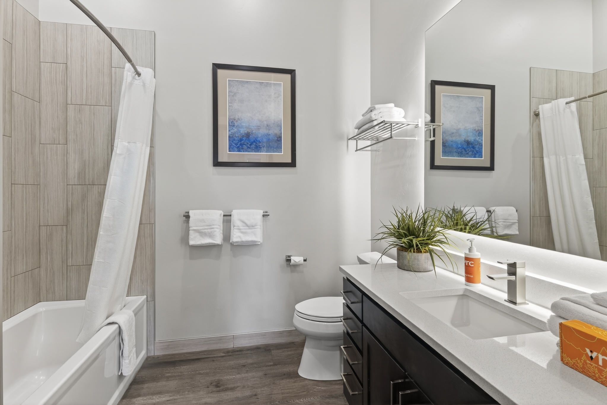 Full bathroom in hallway with convenient tub/shower combo and modern finishes.
