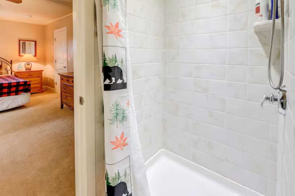 Full bathroom #3 with a sleek walk-in shower