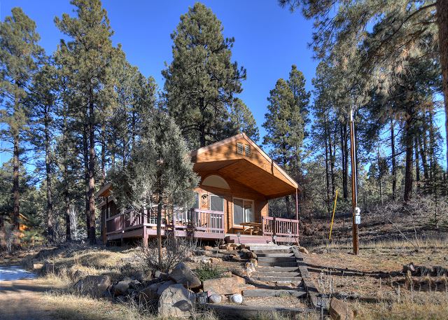 New Listing! Forest Lake Hideout | Private Cabin Surrounded by Pines | Deck