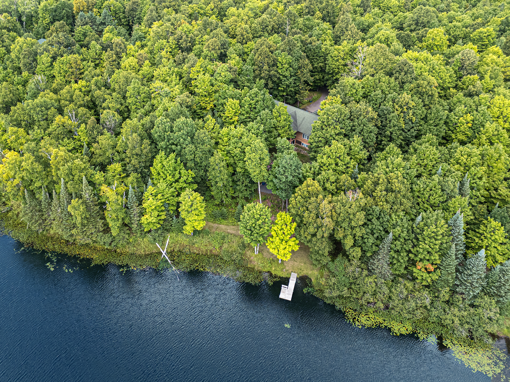 New Listing! Little Martha Lake Lodge | Private Dock & Screened-In Porch | Photo 55