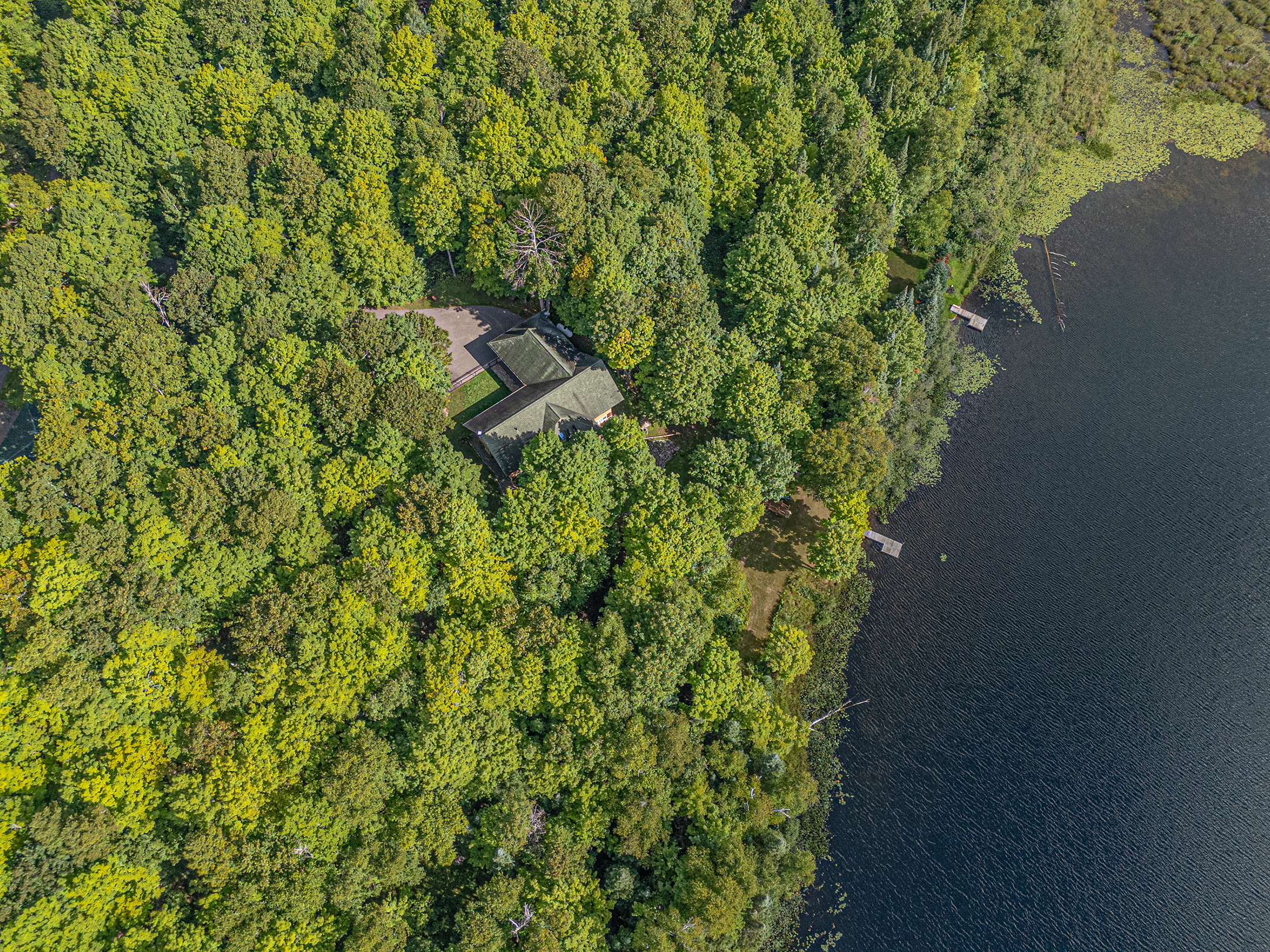 New Listing! Little Martha Lake Lodge | Private Dock & Screened-In Porch | Photo 54