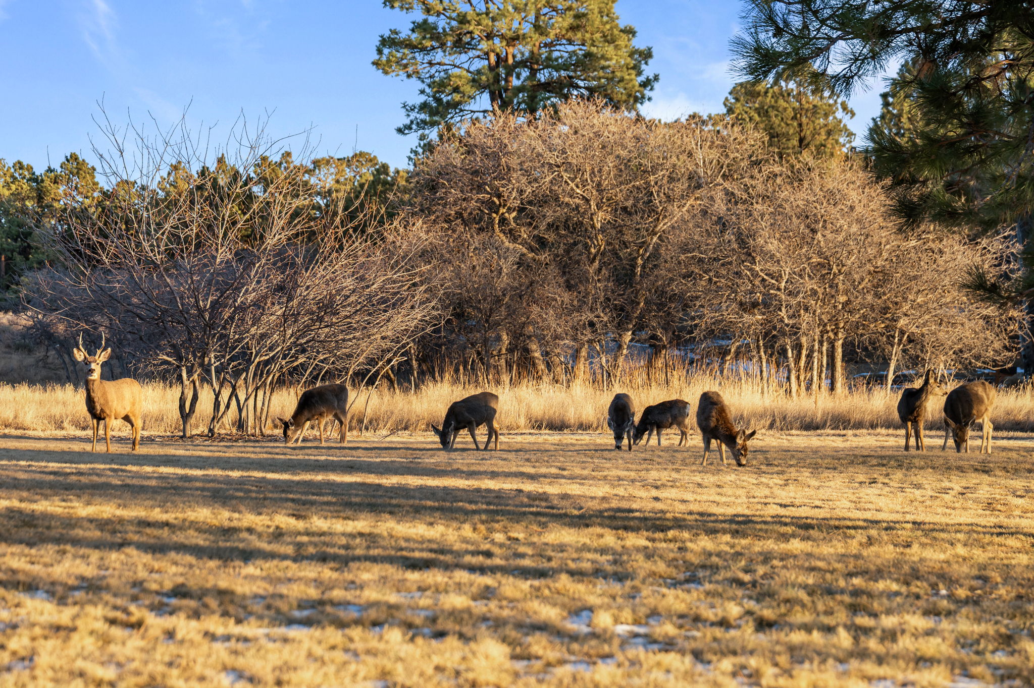 New Listing! Pinery Lakeshore Retreat | Near Park | Photo 60
