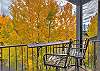 Gorgeous aspen and mountain views from the balcony. 