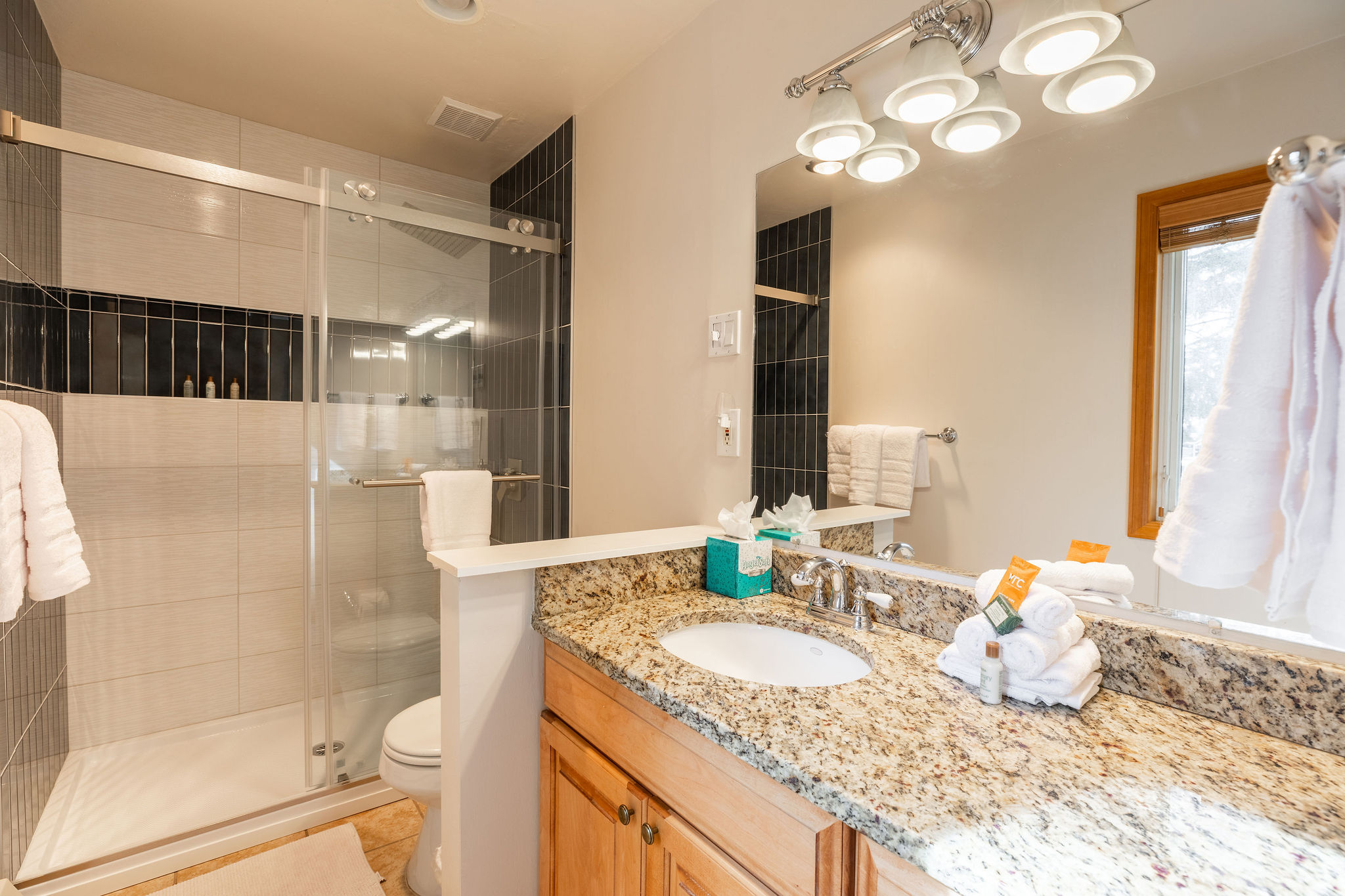 Bathroom #2 with sleek walk-in shower 