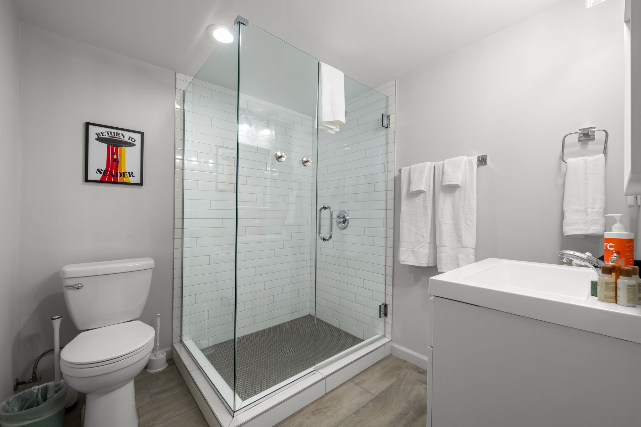 Full bathroom featuring a sleek walk-in shower.