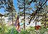 Breathtaking Lake Vallecito Views Through the Pines