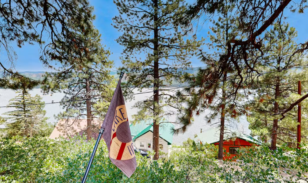 Breathtaking Lake Vallecito Views Through the Pines