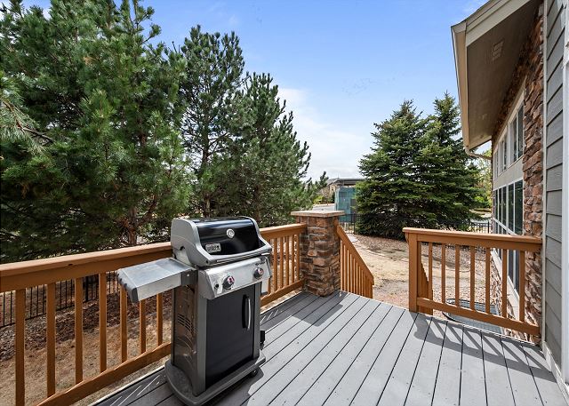 New Listing! Beacon Point | Aurora Reservoir | Outdoor Living at its Best 5