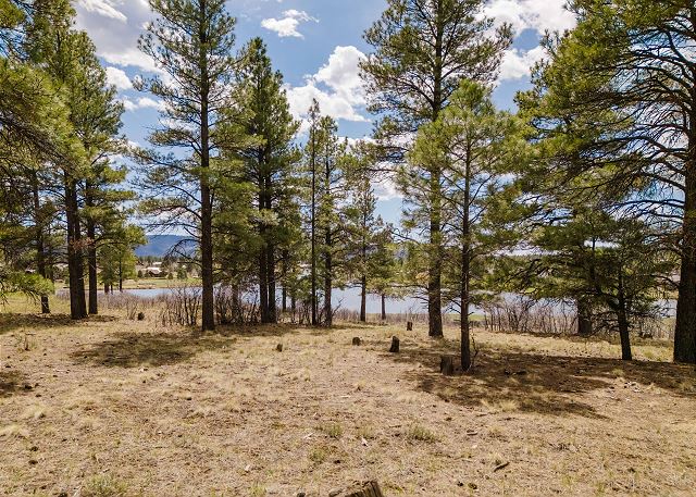 New Listing! Lakeview Cabin | Sleeps 12