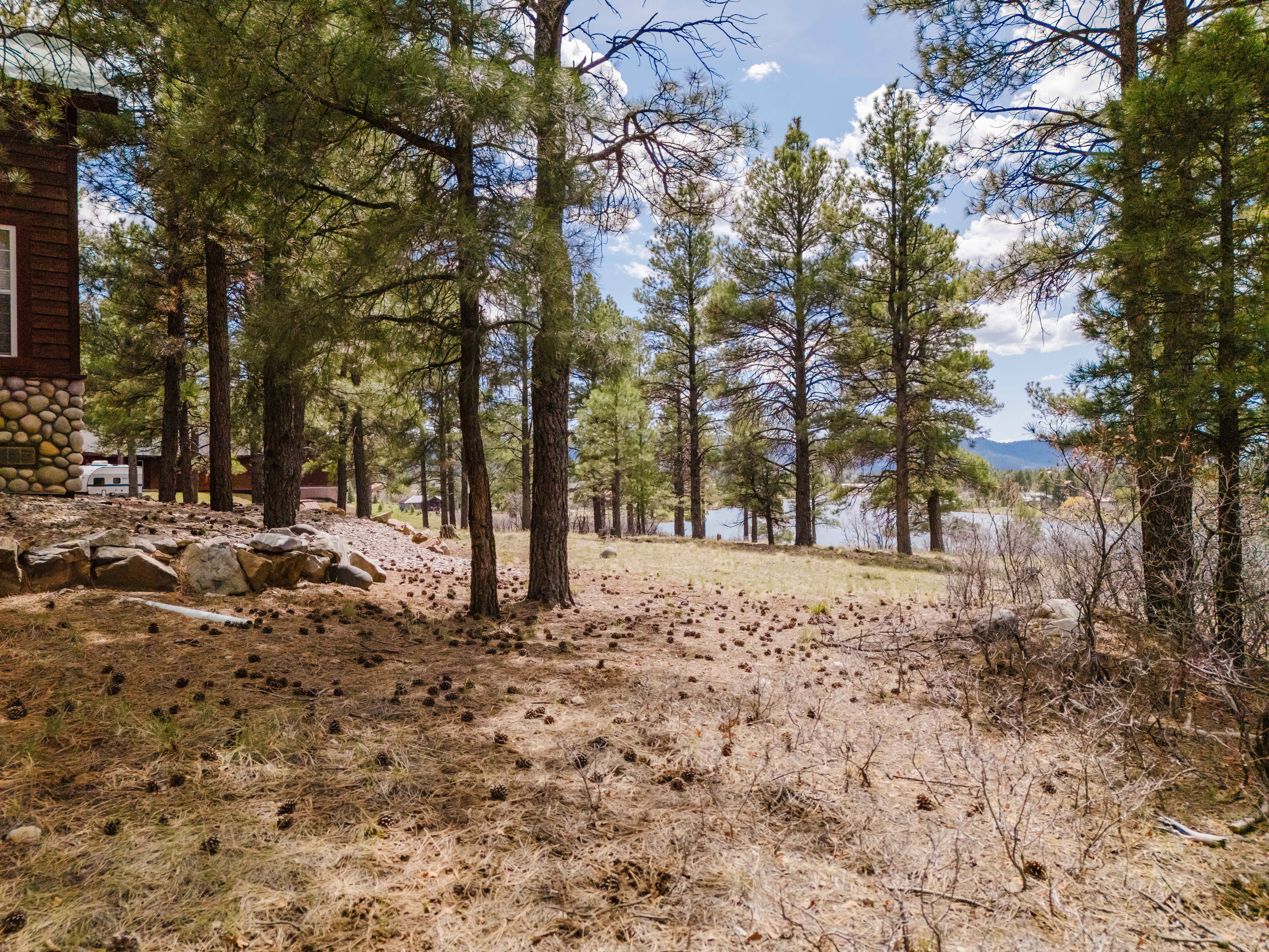 New Listing! Lakeview Cabin | Sleeps 12 | Photo 73
