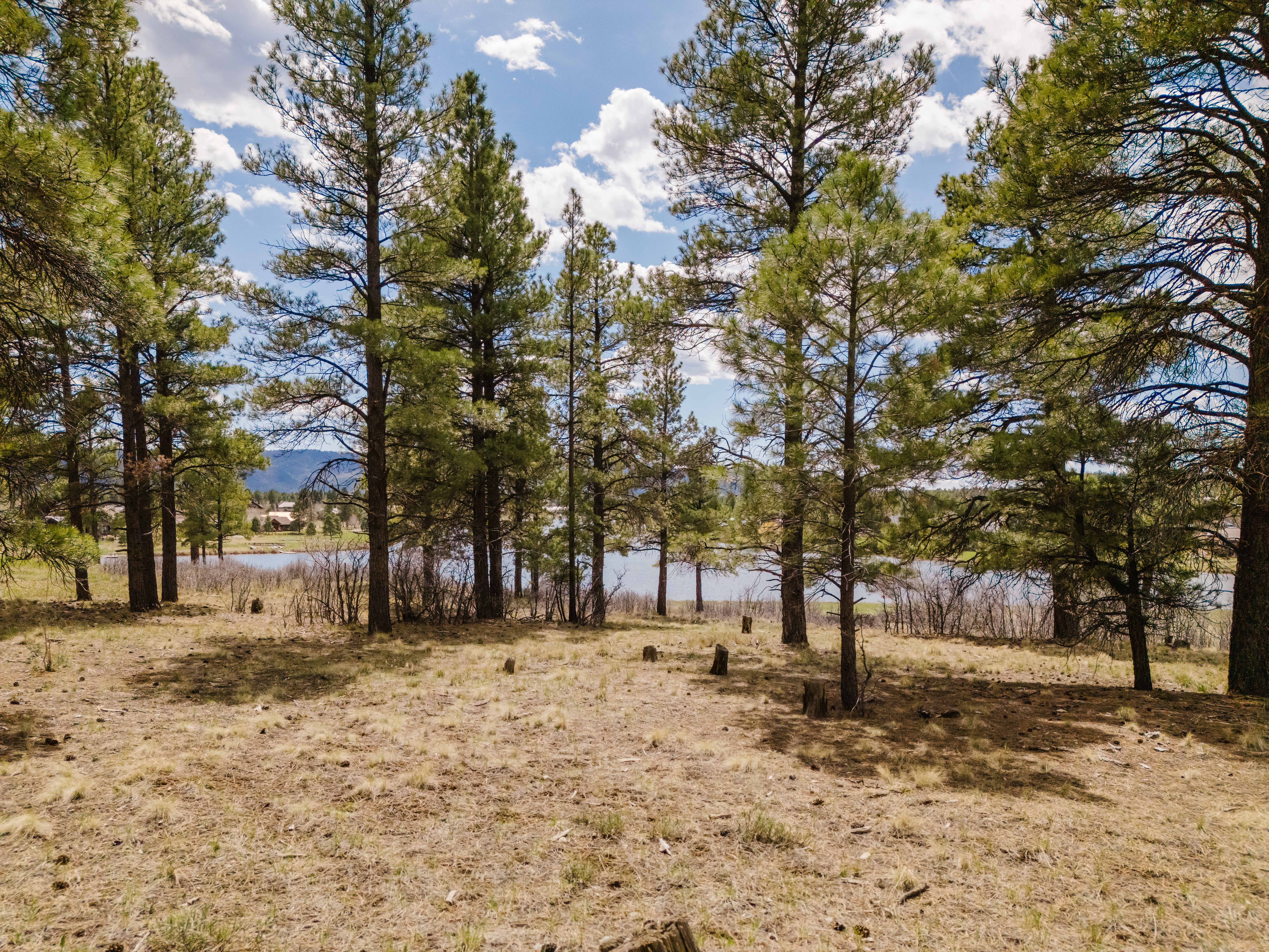 New Listing! Lakeview Cabin | Sleeps 12 | Photo 1