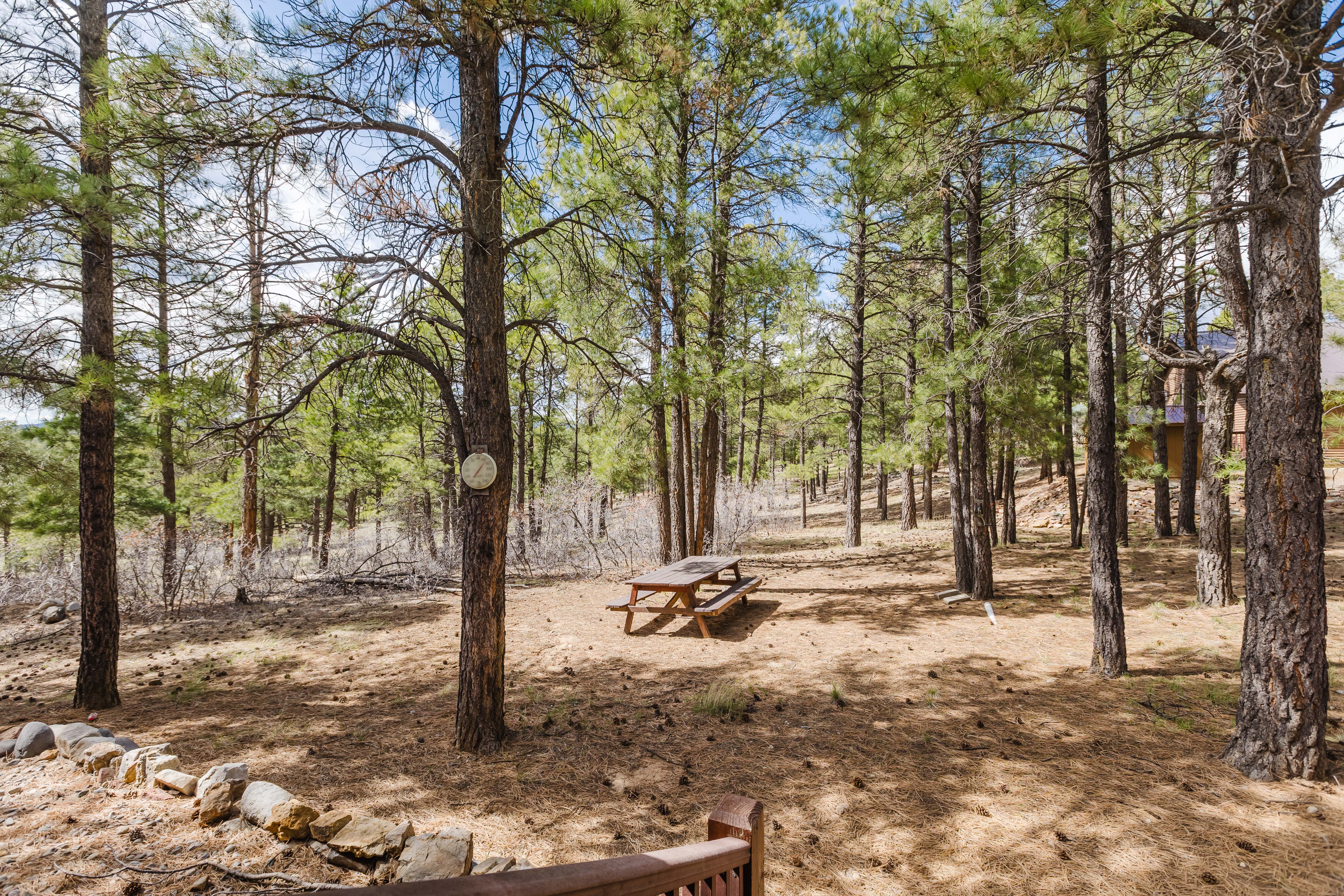 New Listing! Lakeview Cabin | Sleeps 12 | Photo 74