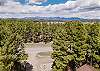 Ariel view from Pagosa Pines Getaway. 