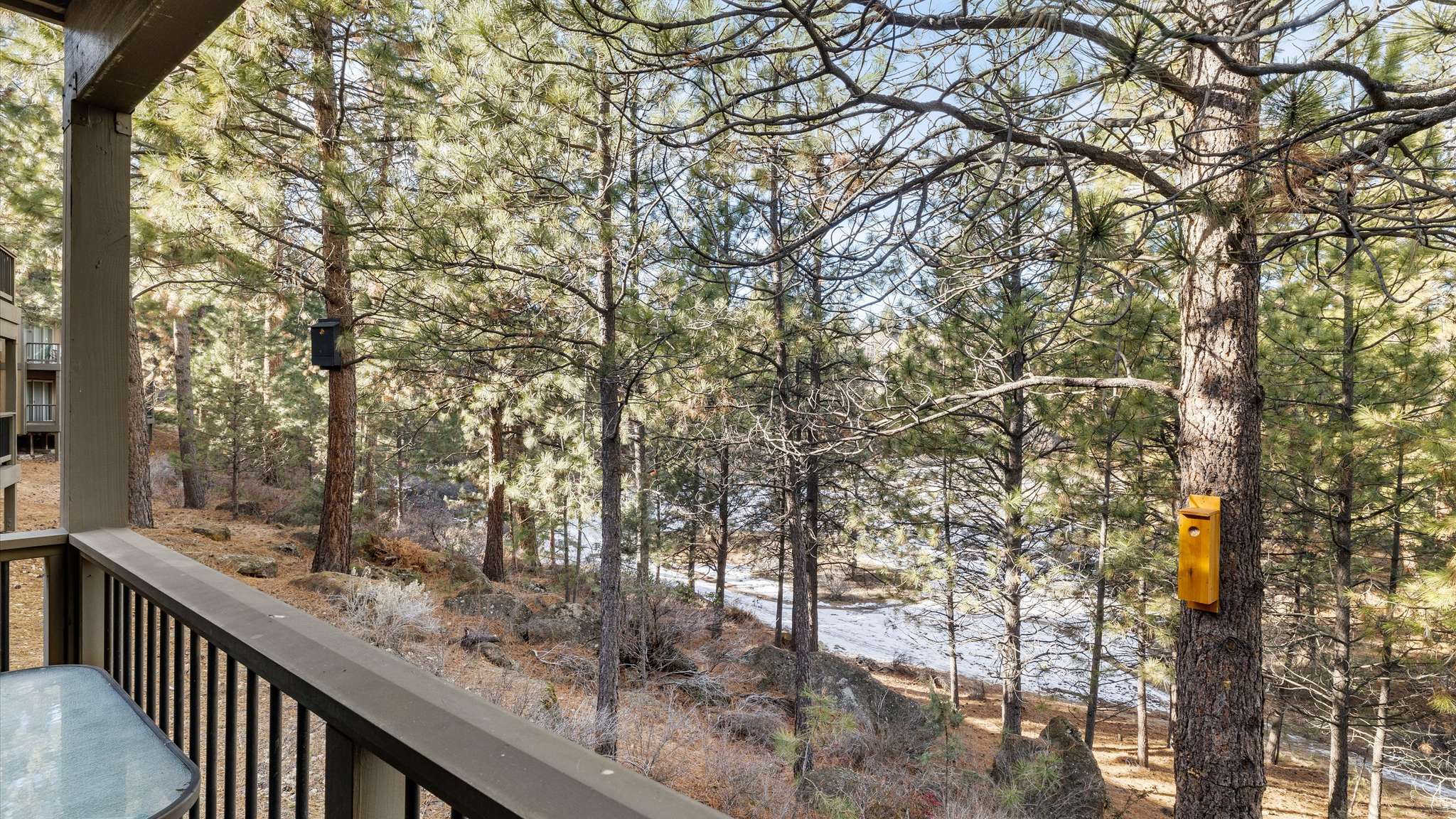 Views from the deck. 