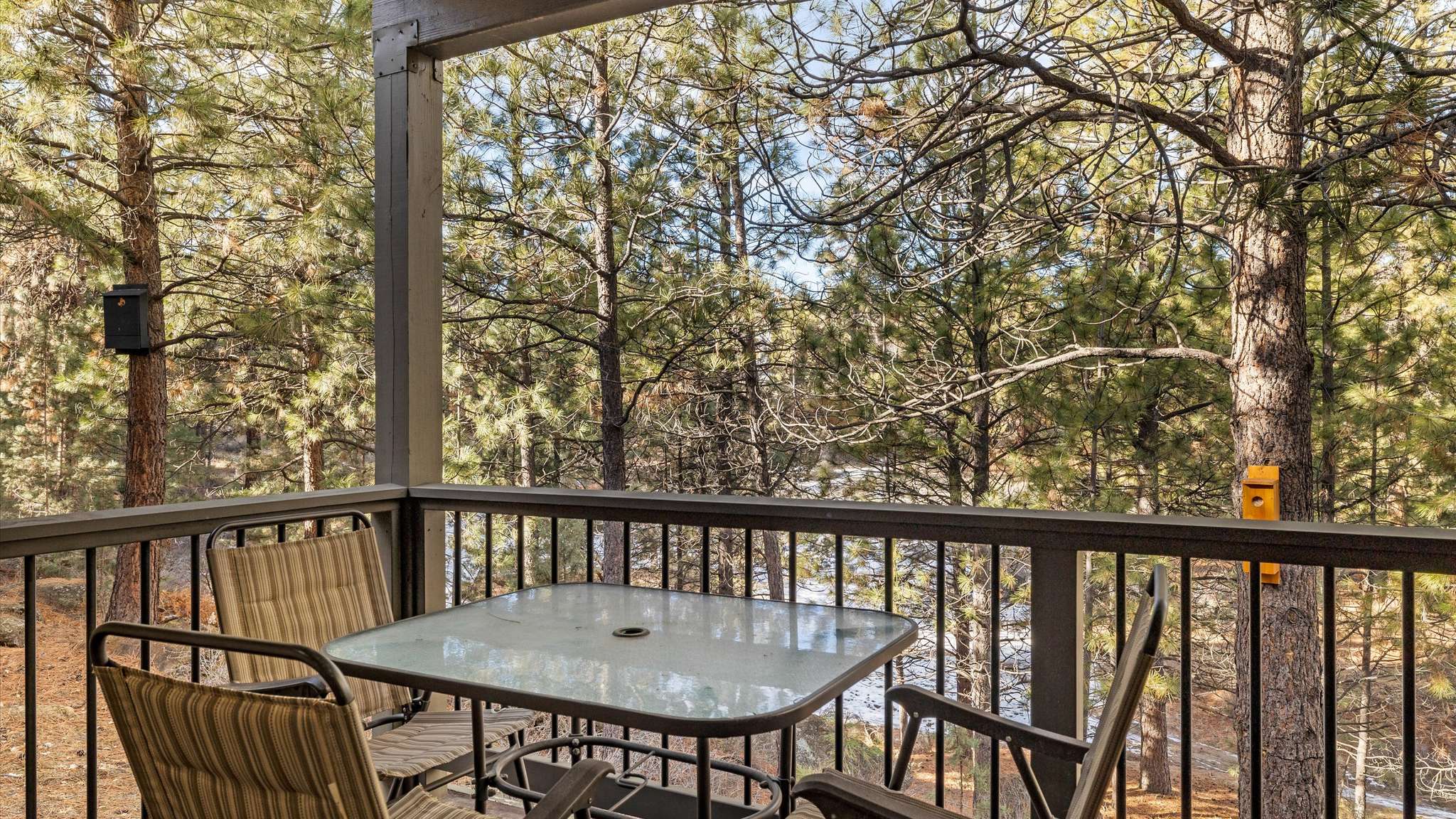 Outdoor dining area with views of the pines. 