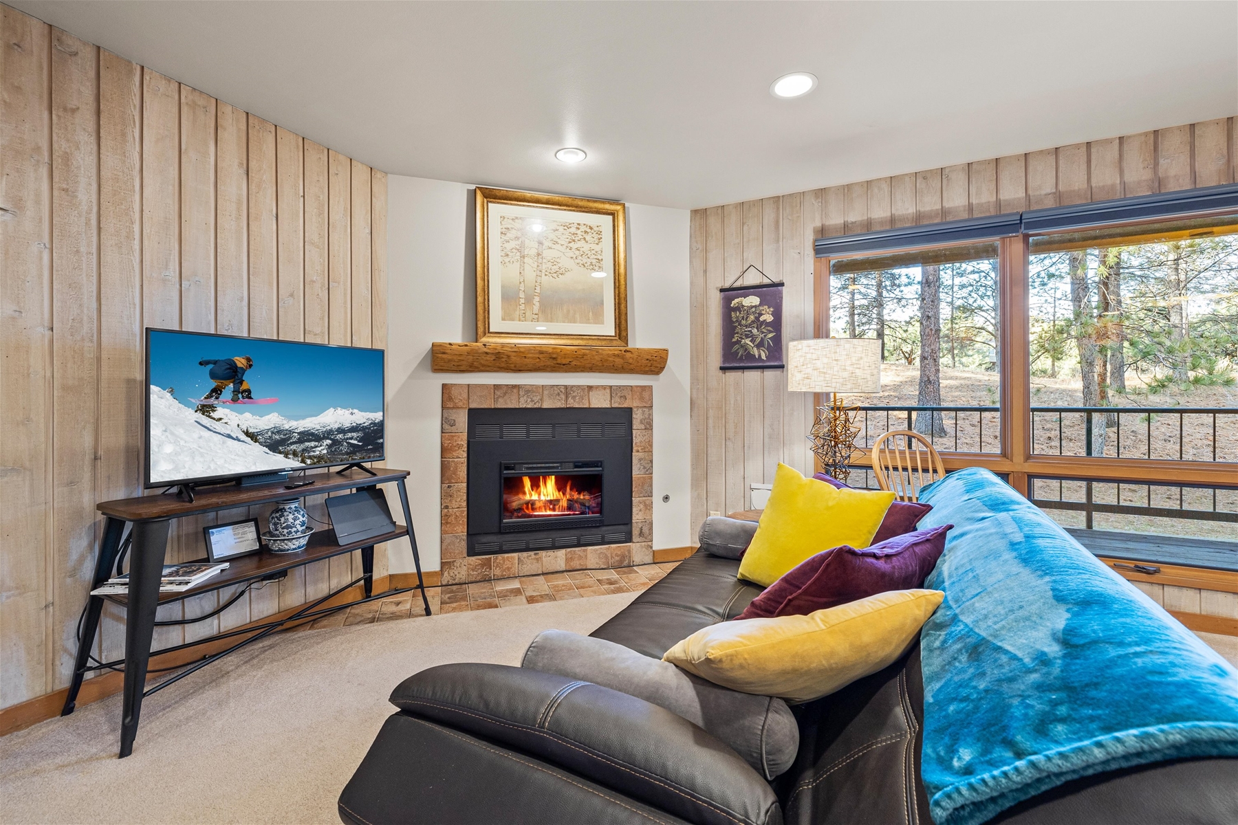 Daybed for one, electric fireplace, smart TV