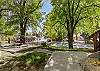 Peaceful tree-lined neighborhood surrounding the studio.