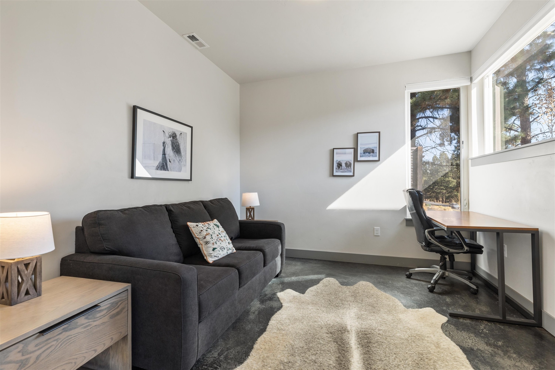 Office with pull-out sofa – lower level. 