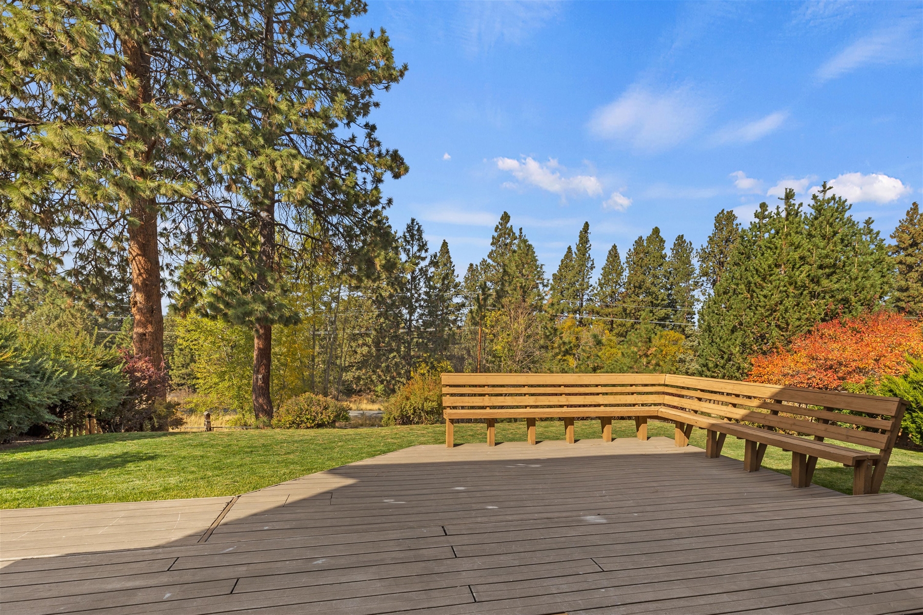 Tree-lined views from the back deck. 
