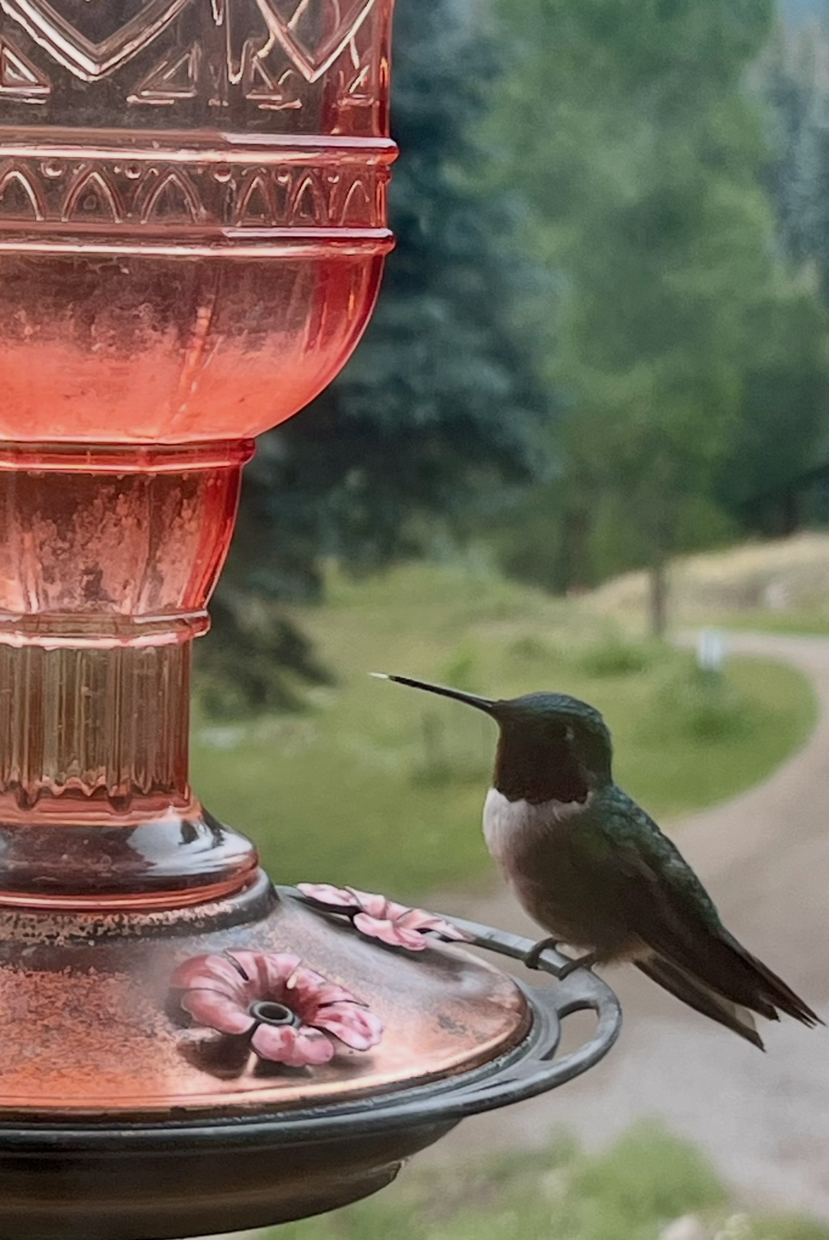 Watch the hummingbirds and wildlife, all from the large deck. 