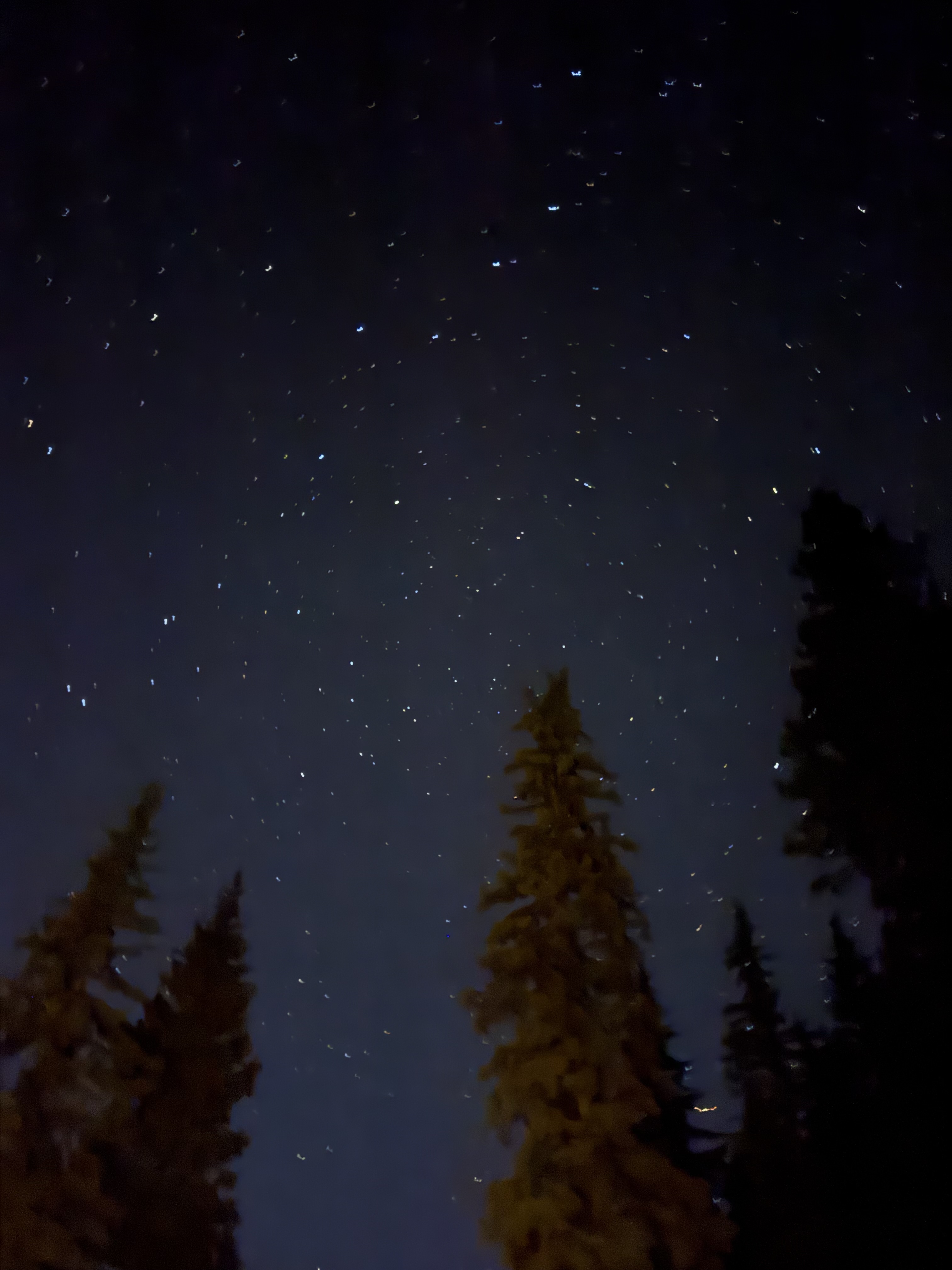Unmatched stargazing right from the home. 