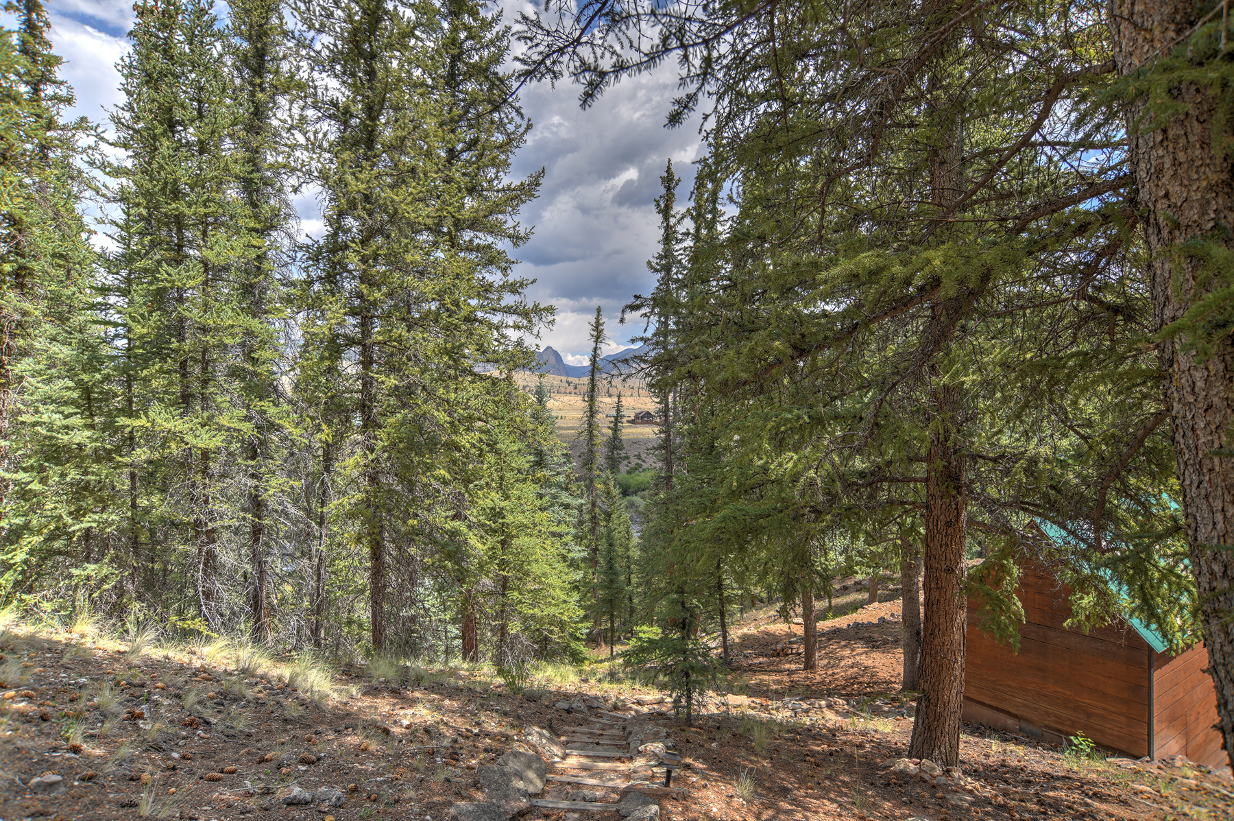 Enjoy our home in the tall pines while soaking up the mountain air and views of the river. 