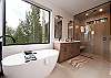 Master Bathroom - Tub and Shower