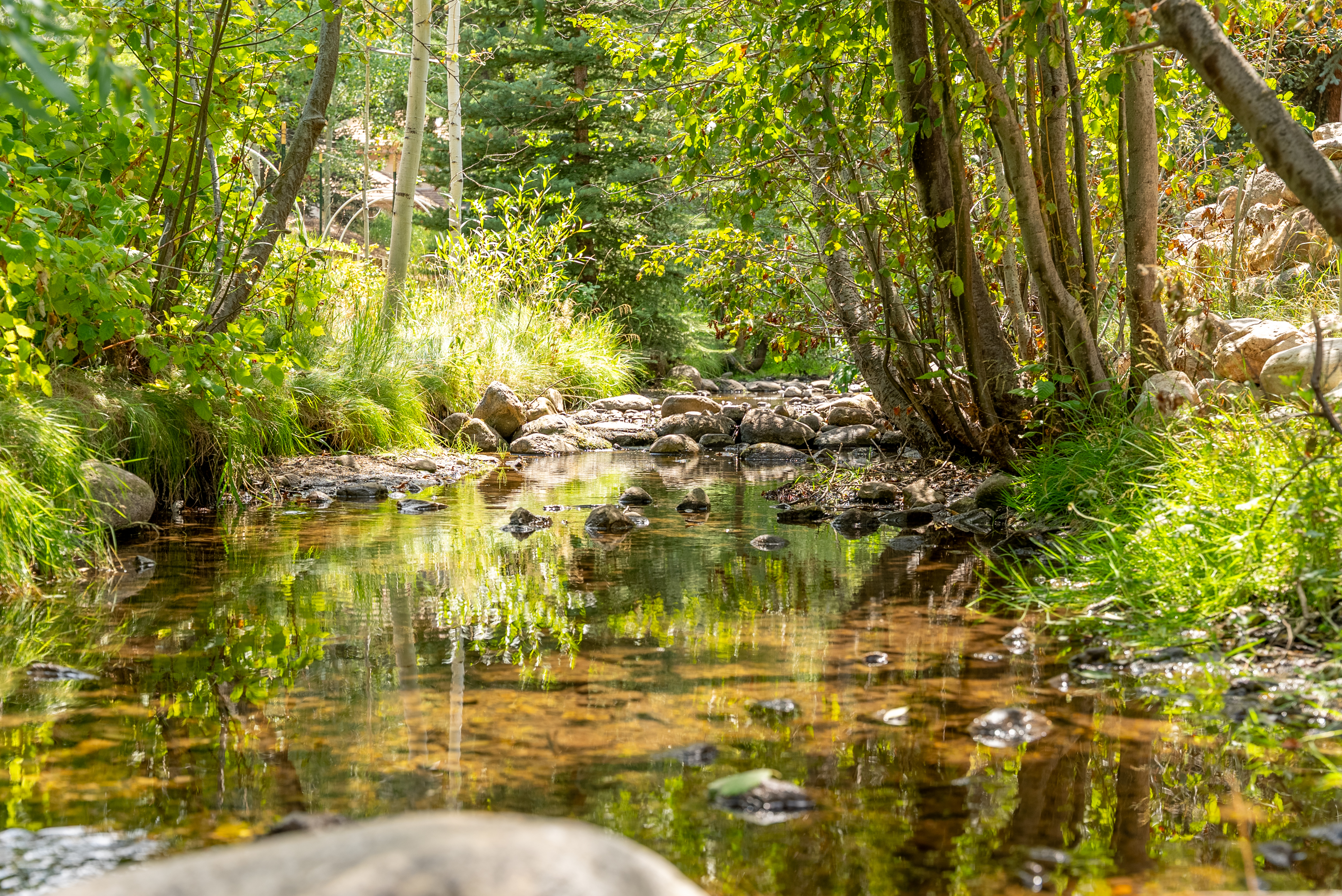 Stone Creek