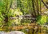 Stone Creek