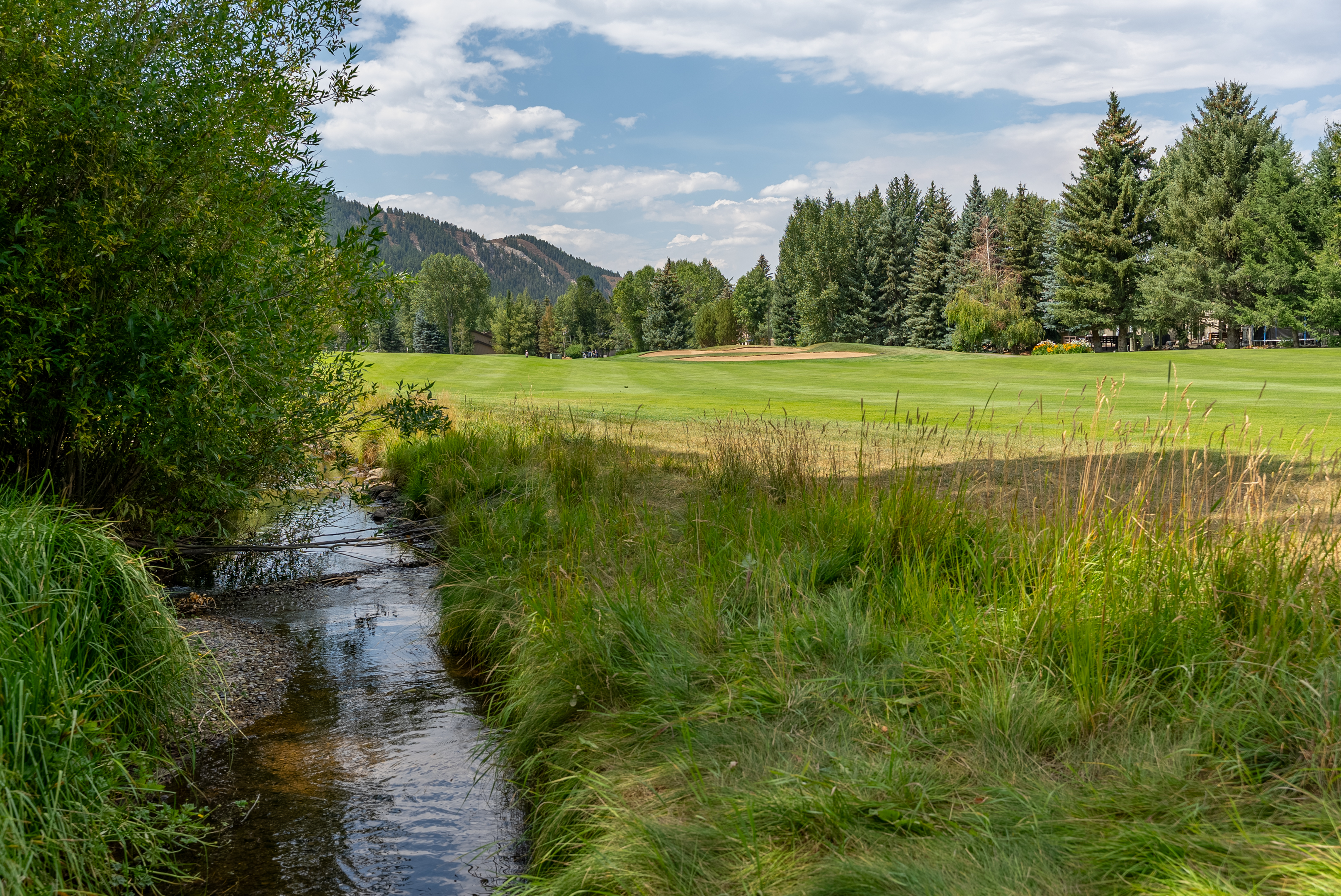 Stone Creek
