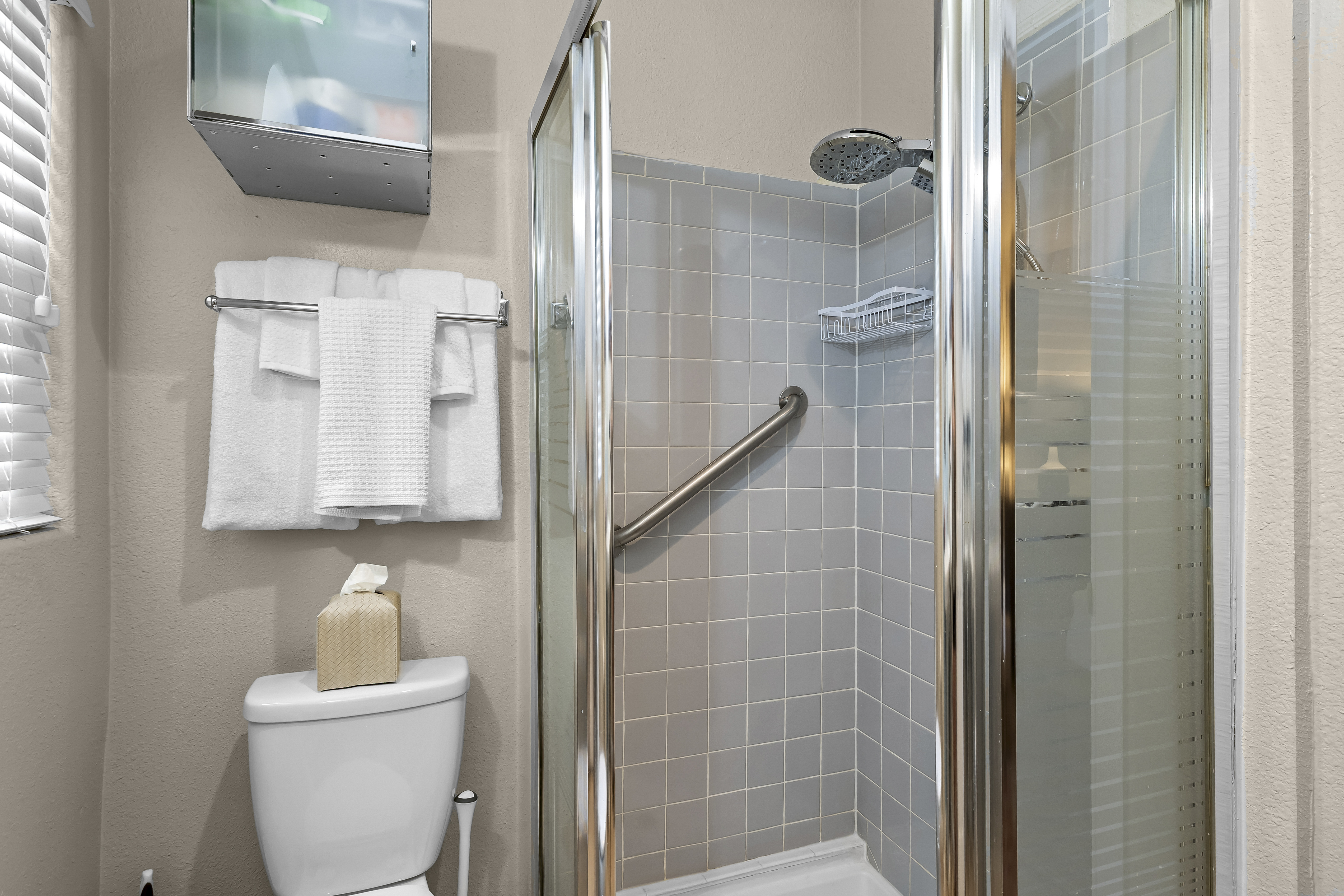 Guest bathroom with a walk-in shower.