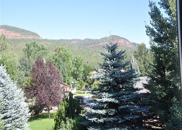 Luxury Home in Dalton Ranch 3