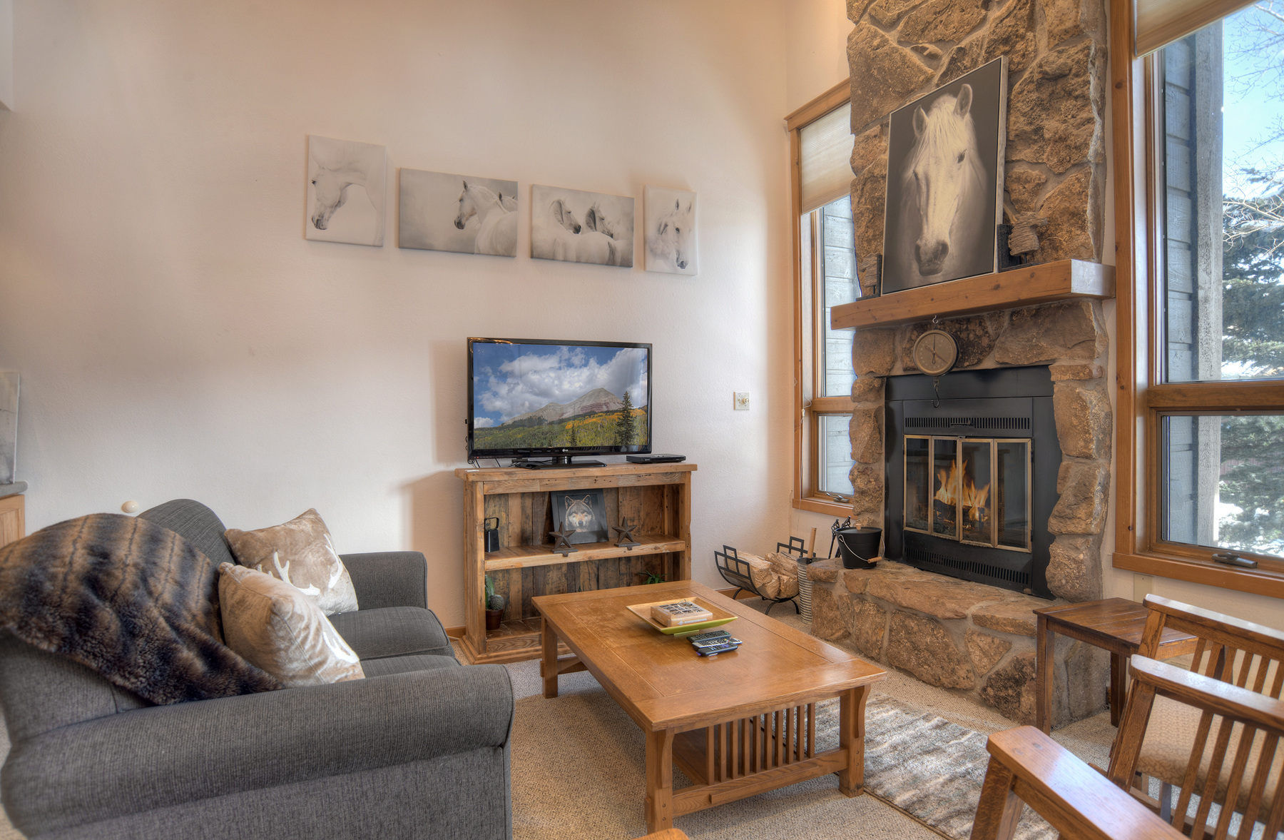 Main Living Space - TV and Wood Burning Fireplace (wood provided)