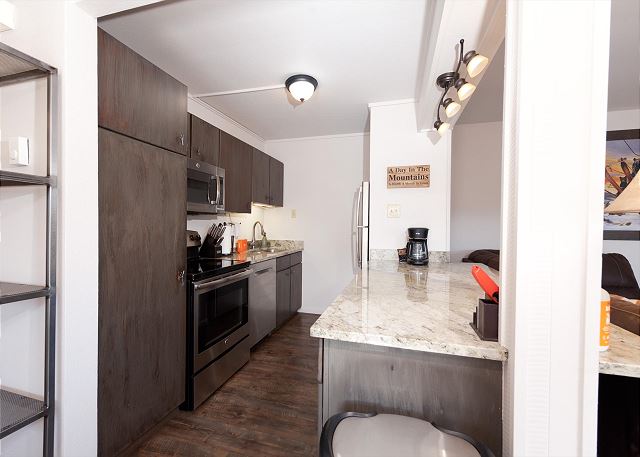 True Ski in/Ski Out - Remodeled - Amazing Views 10