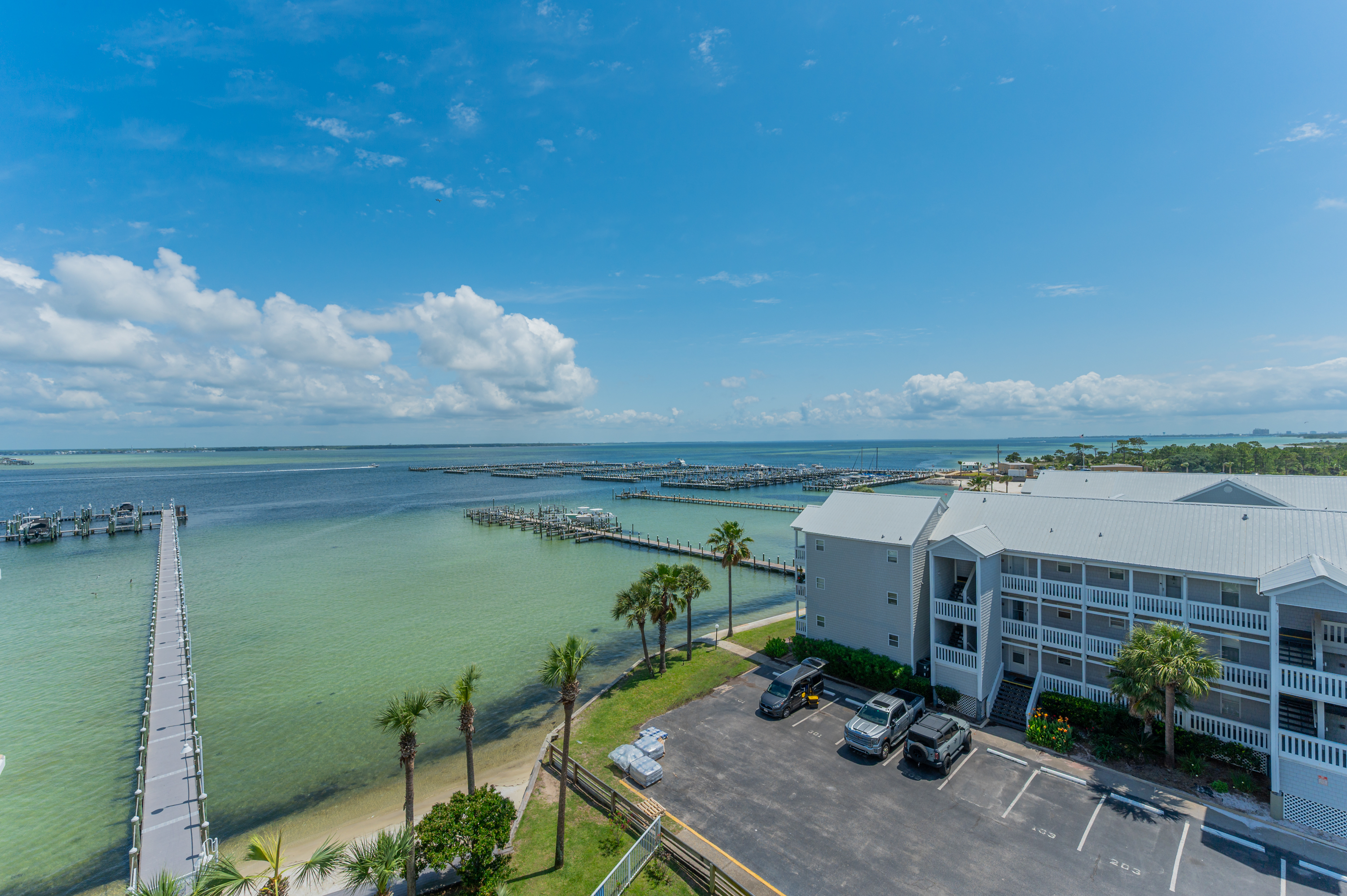 Osprey #601 | Photo 24