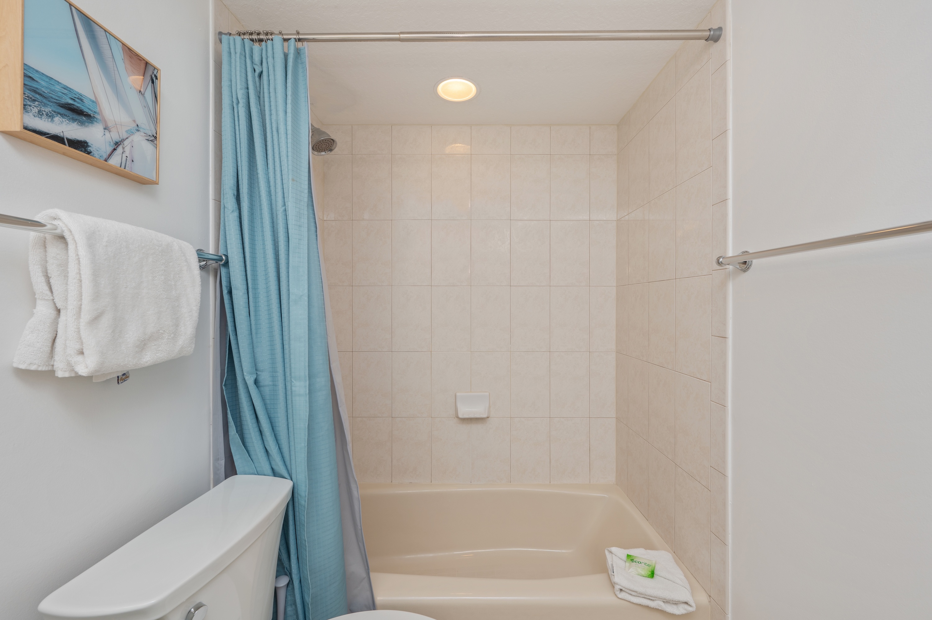 Osprey #601 | Photo 48