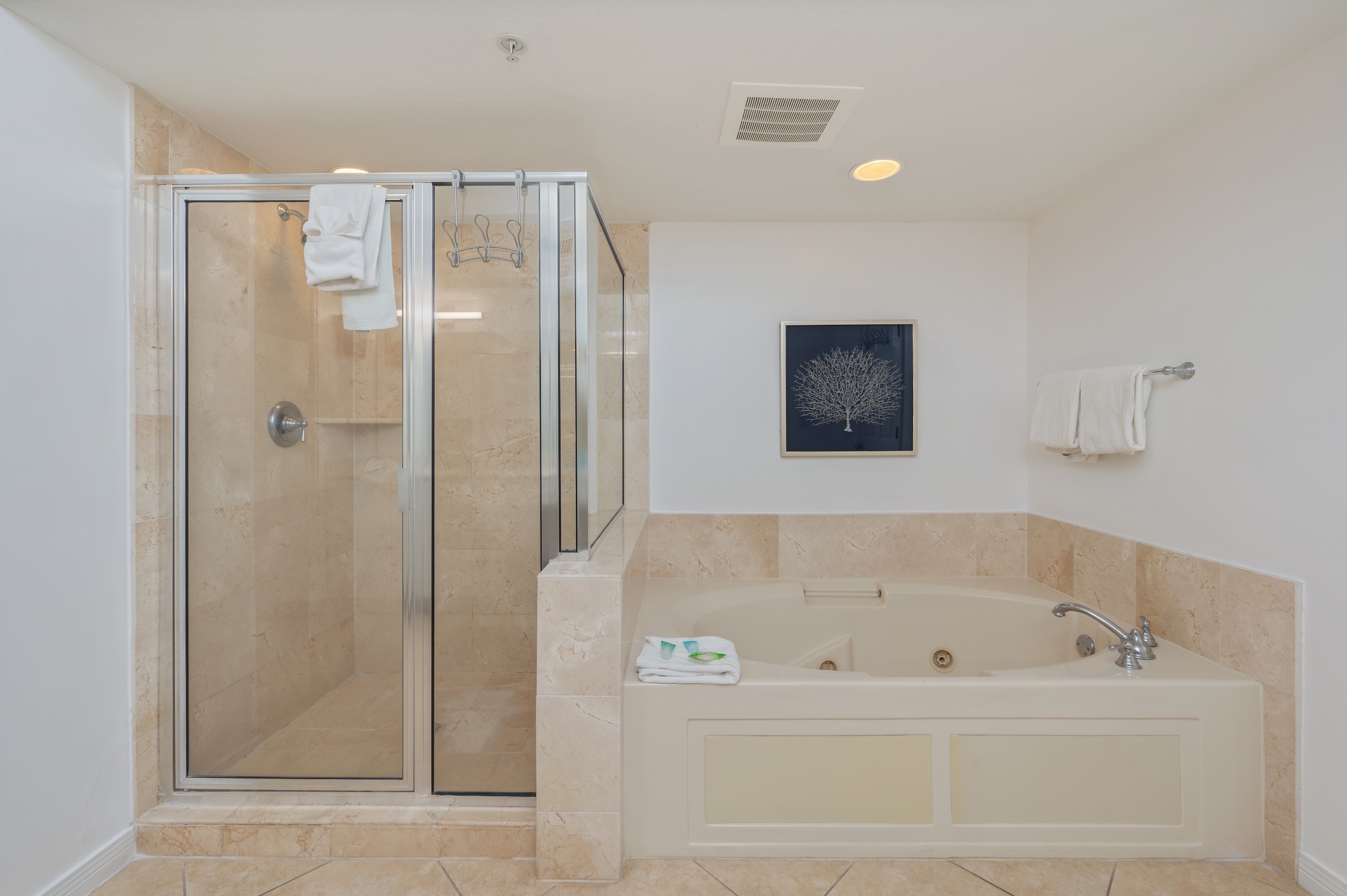 Osprey #601 | Photo 30