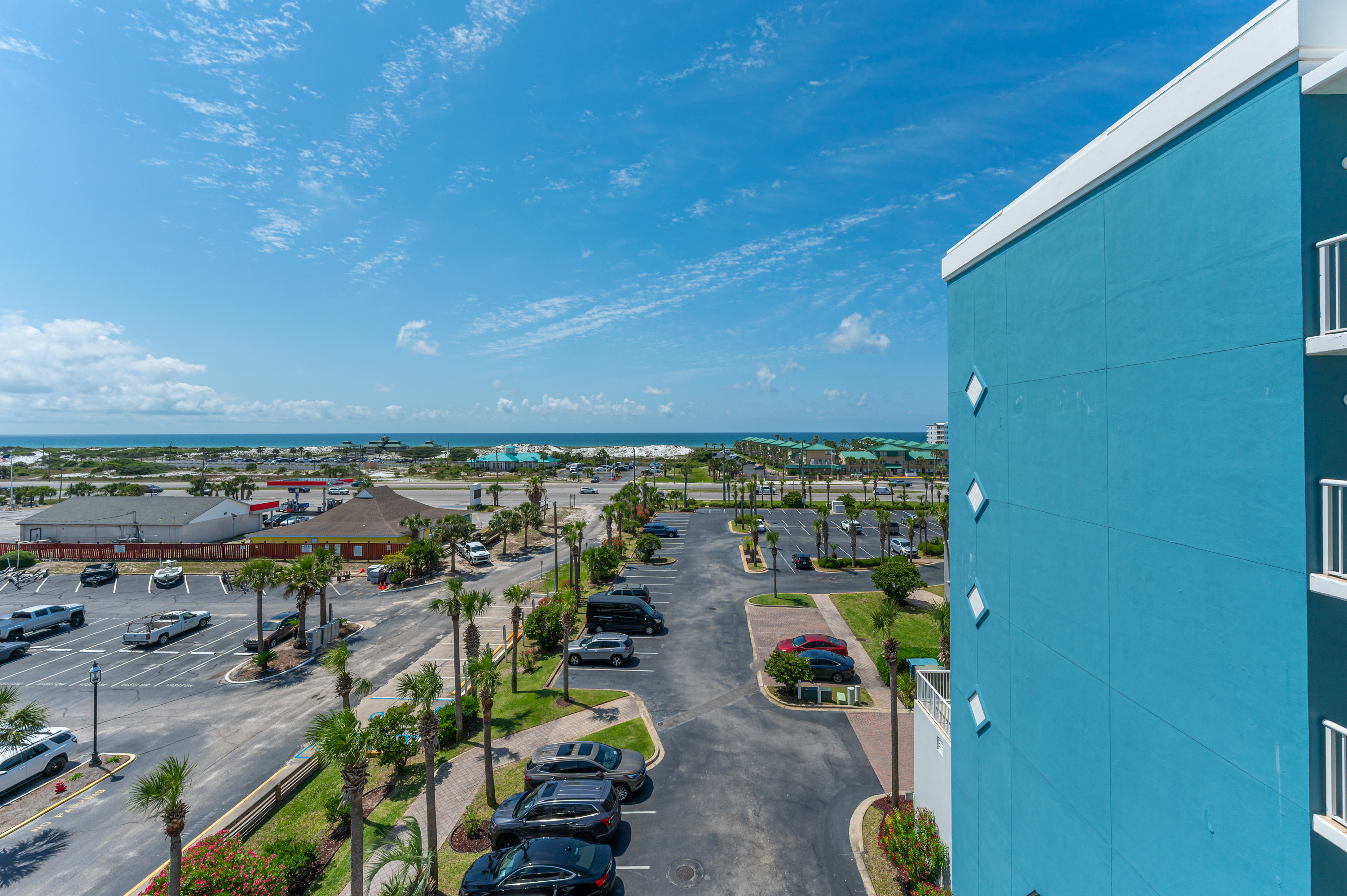 Osprey #601 | Photo 58