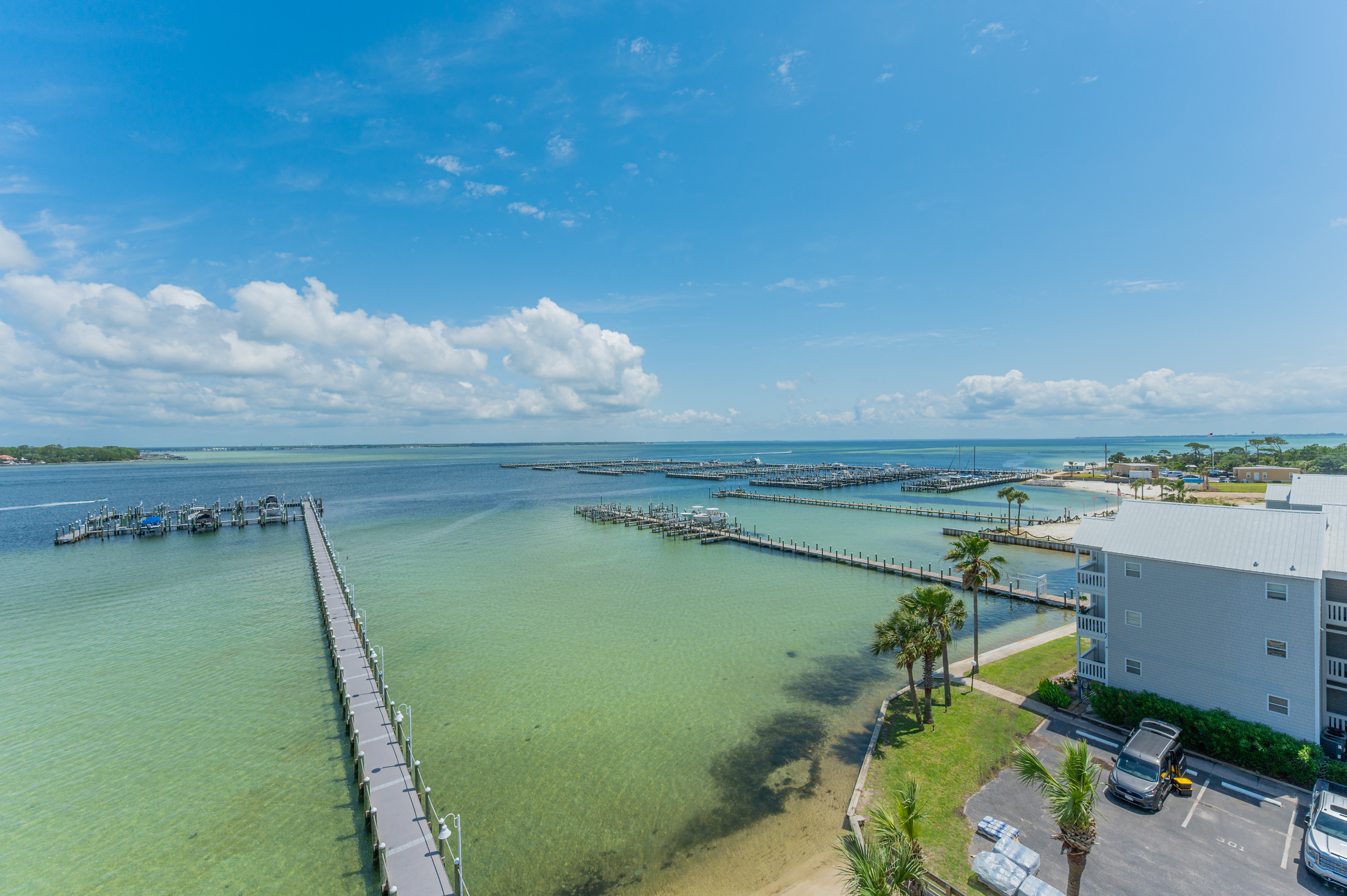 Osprey #601 | Photo 55