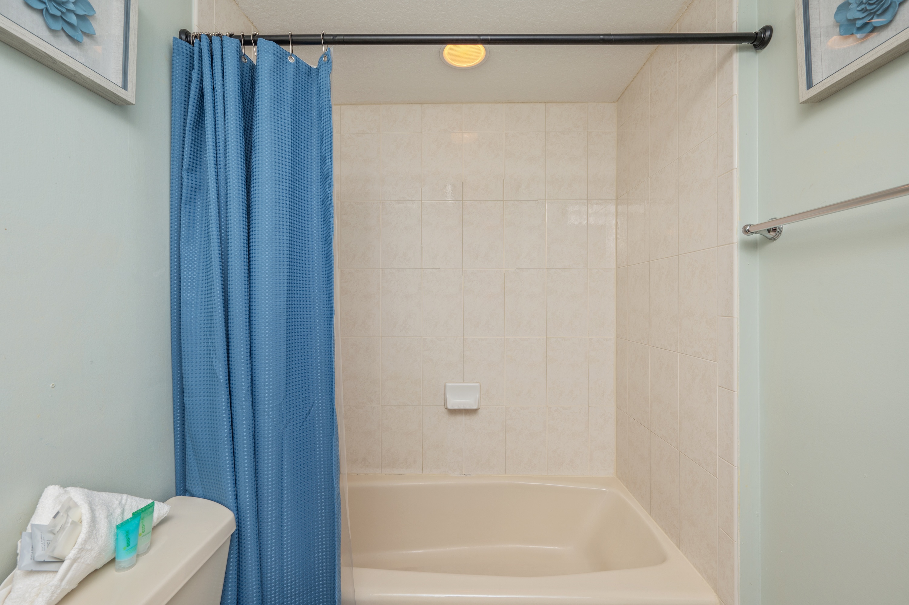 Osprey #606 | Photo 30