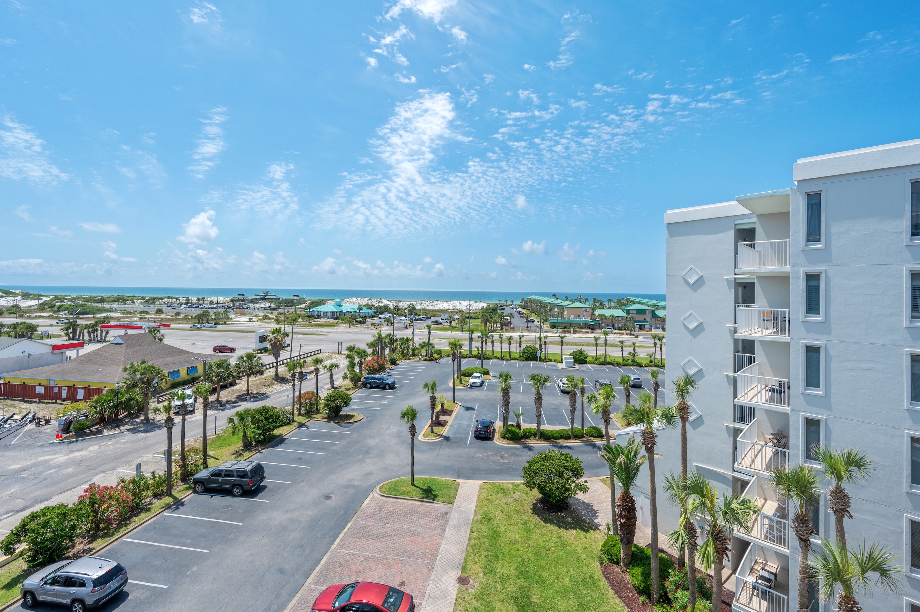 Osprey #606 | Photo 46