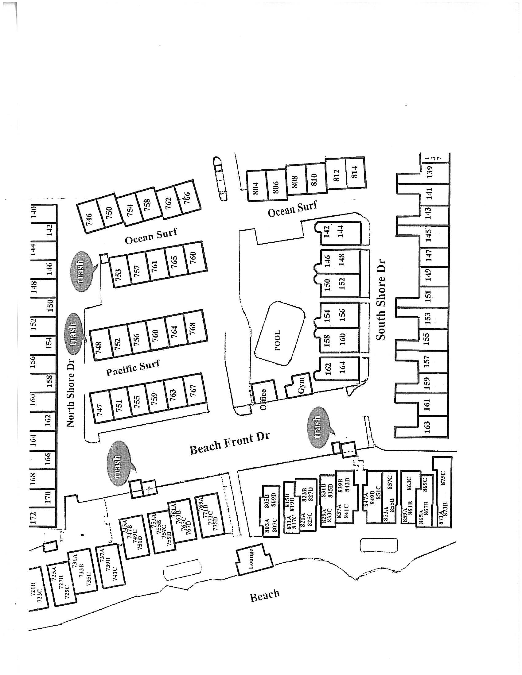 Seaside Shenanigans - DMBC751P 42
