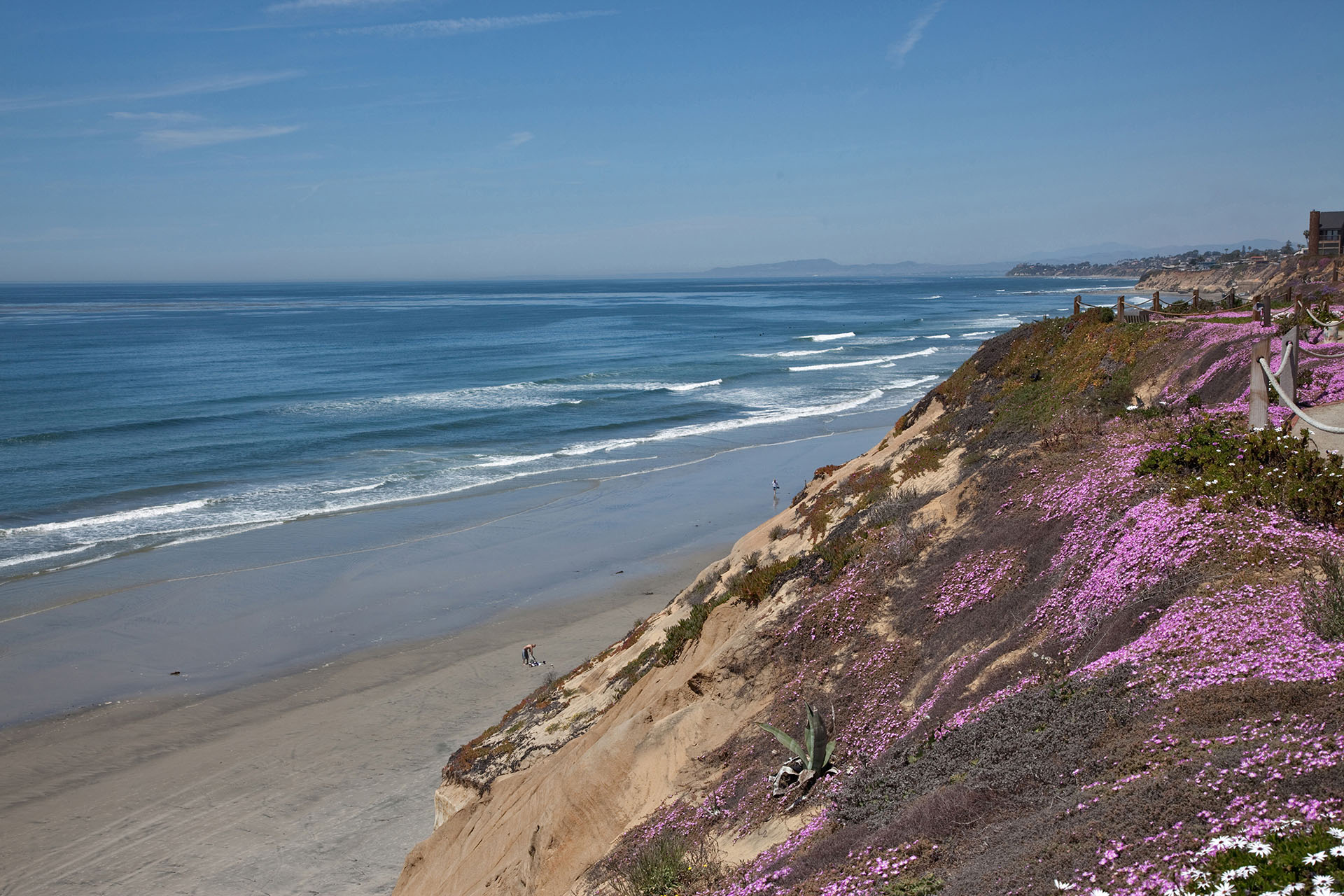 Beach You To It! - SUR61 46