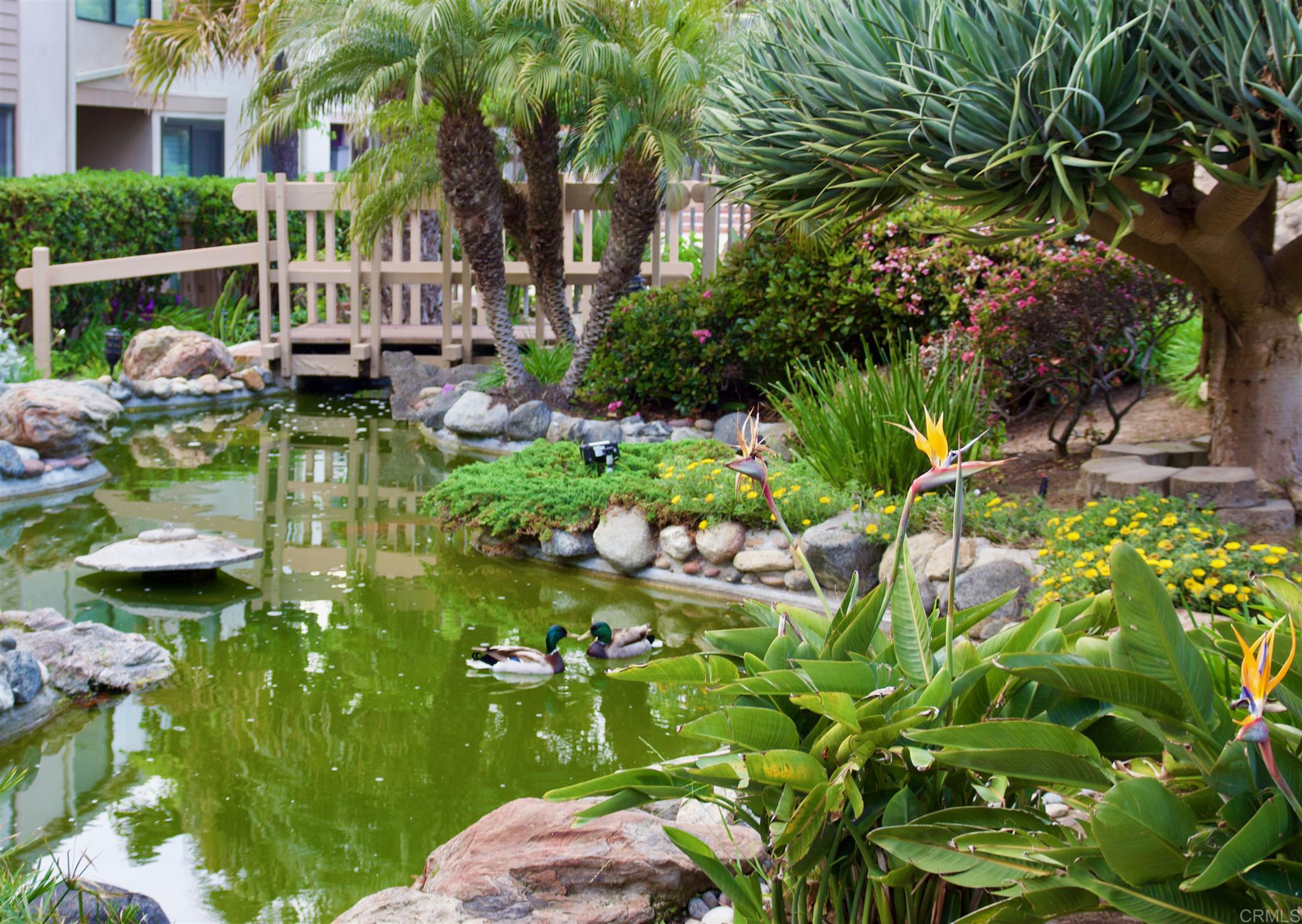 Barefoot Oasis - SUR127 47