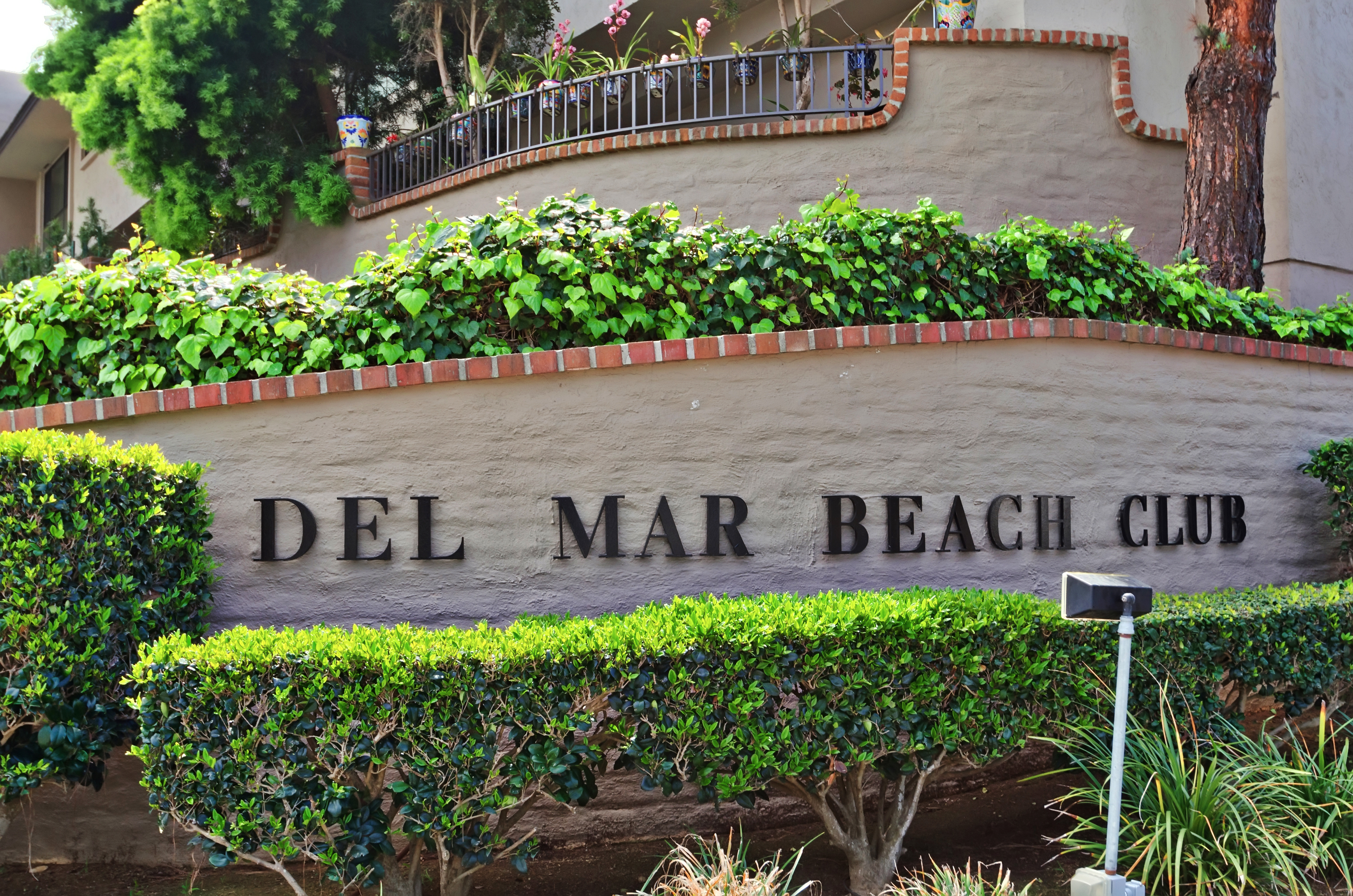 Beach View Beauty - DMBC775D 32