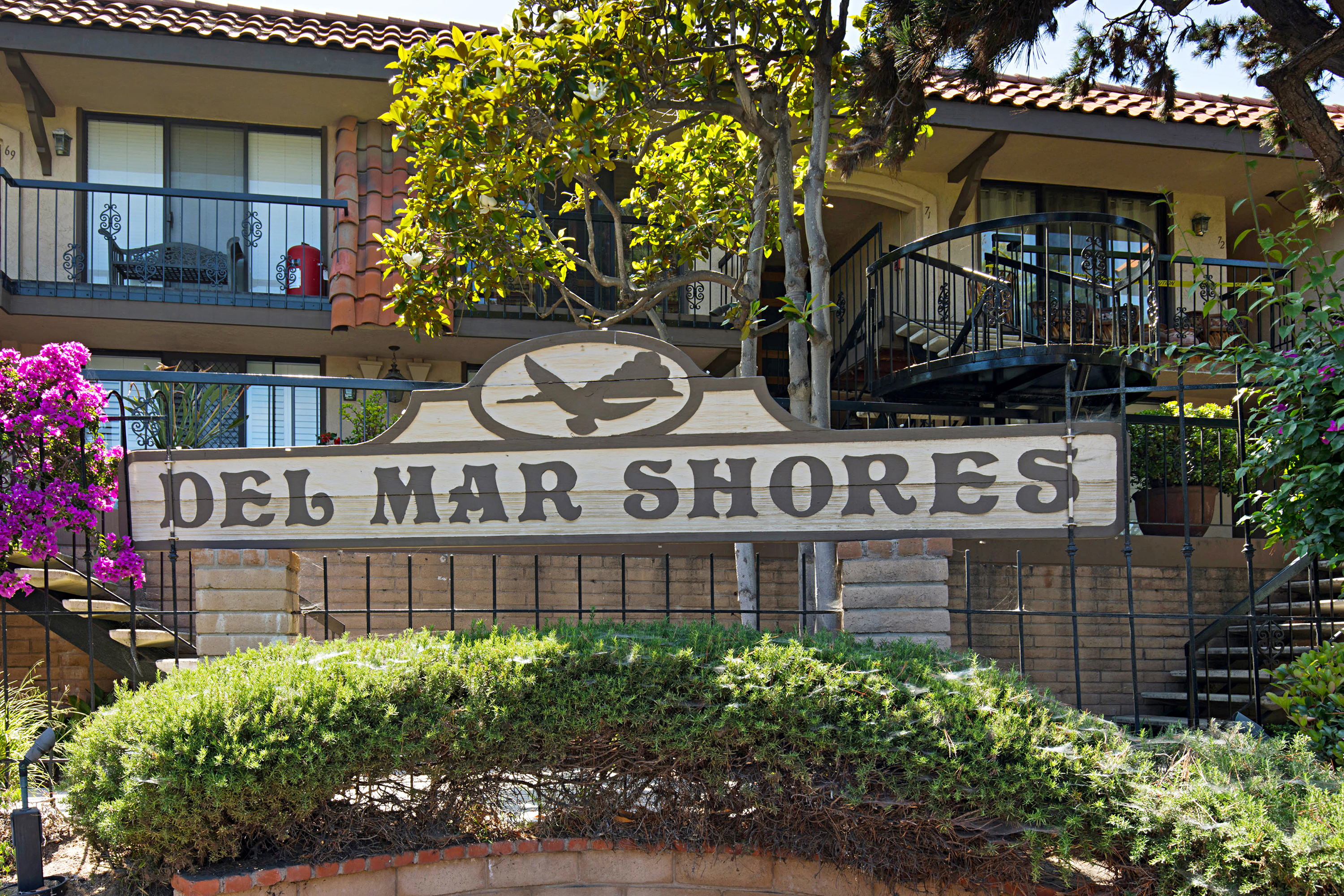 Sea Den - DMST45 49
