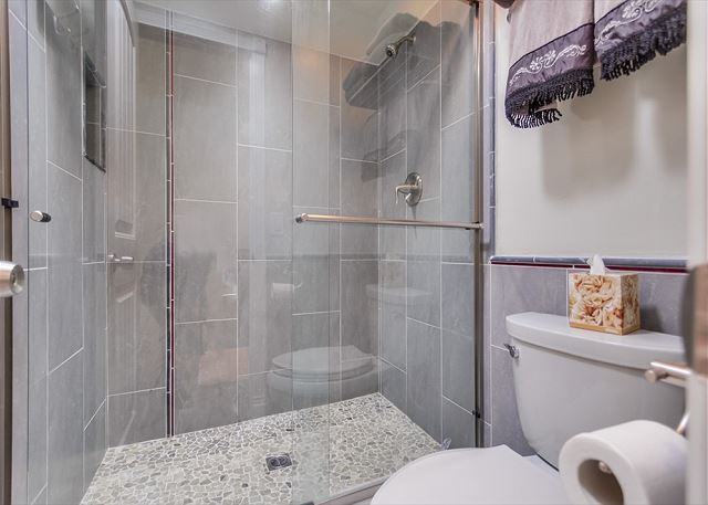 Guest Bathroom w/large shower - NO TUB