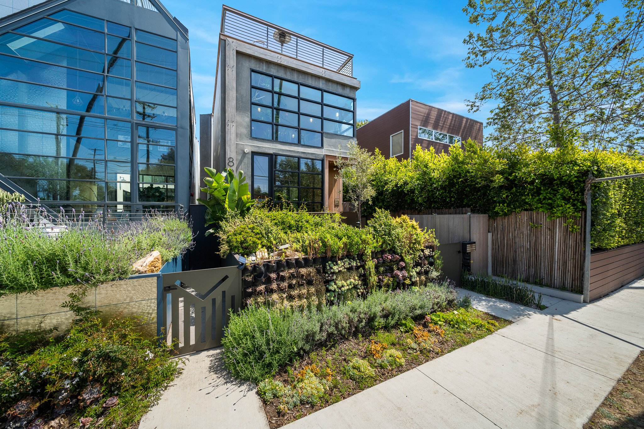 Lady Maya | Photo 34