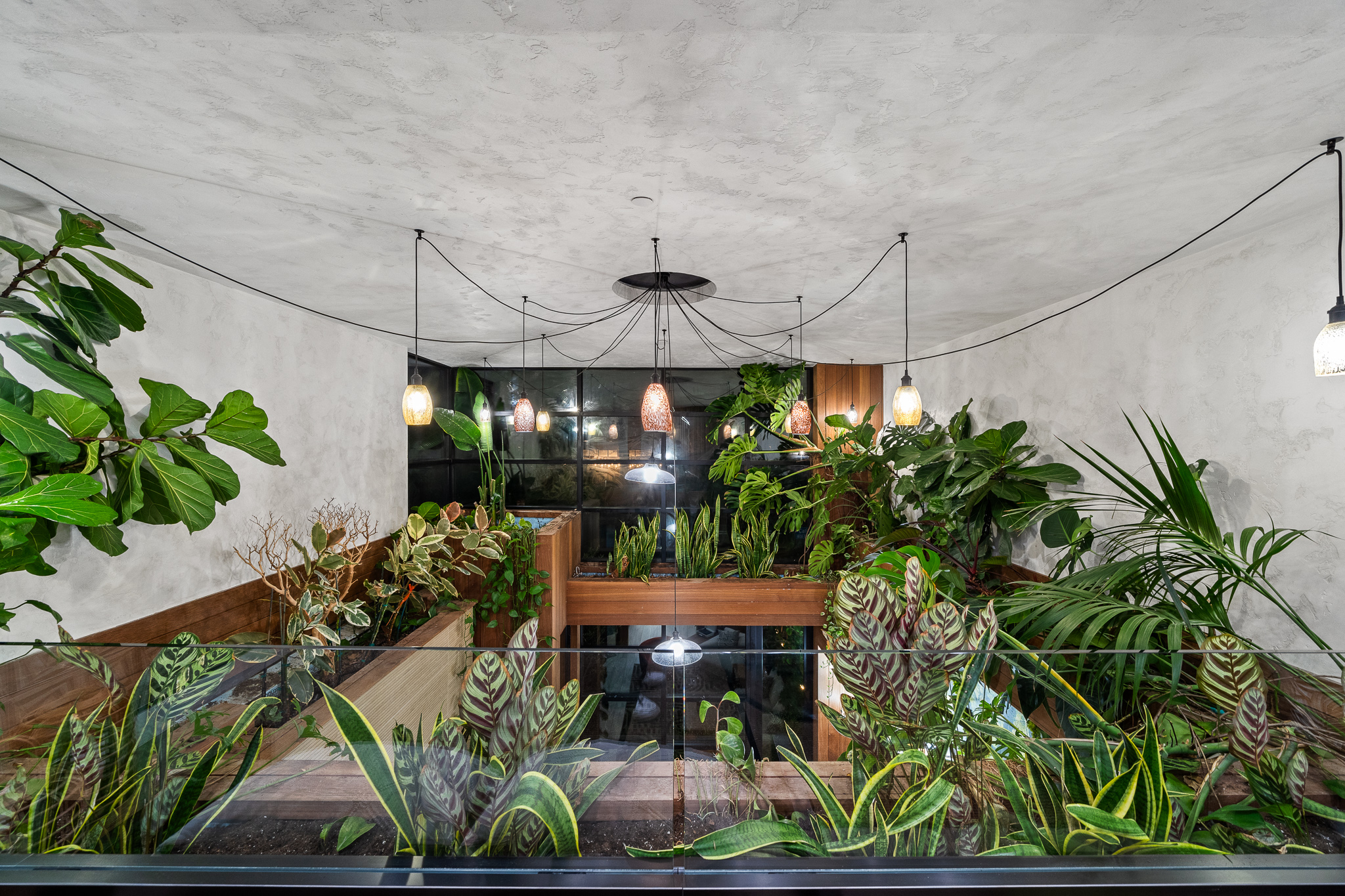 Lady Maya | Photo 18