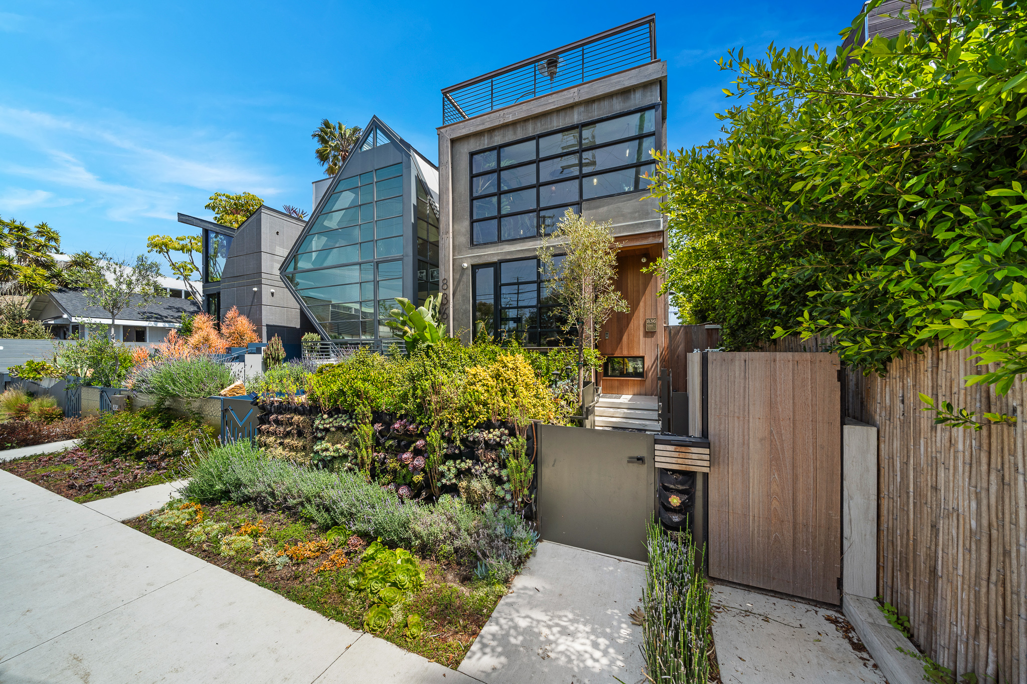 Lady Maya | Photo 35